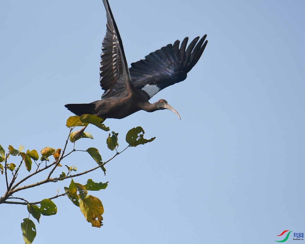 DSC_5677.jpg