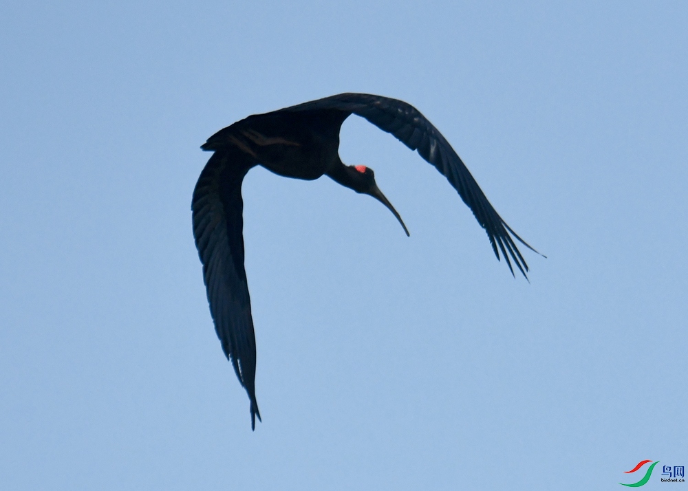 DSC_5680.jpg