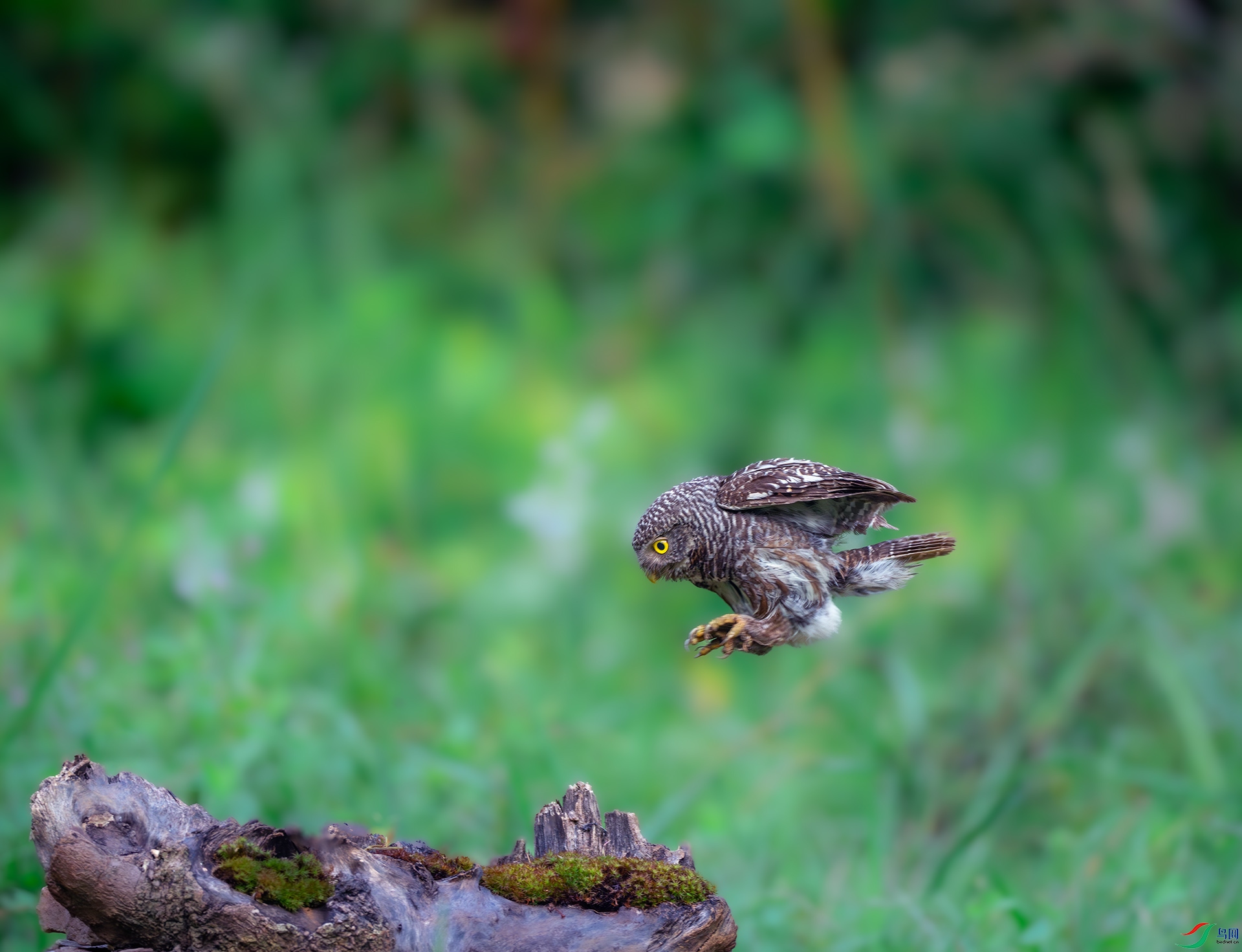 _DSC7849-����ǿ-NR ����.jpg