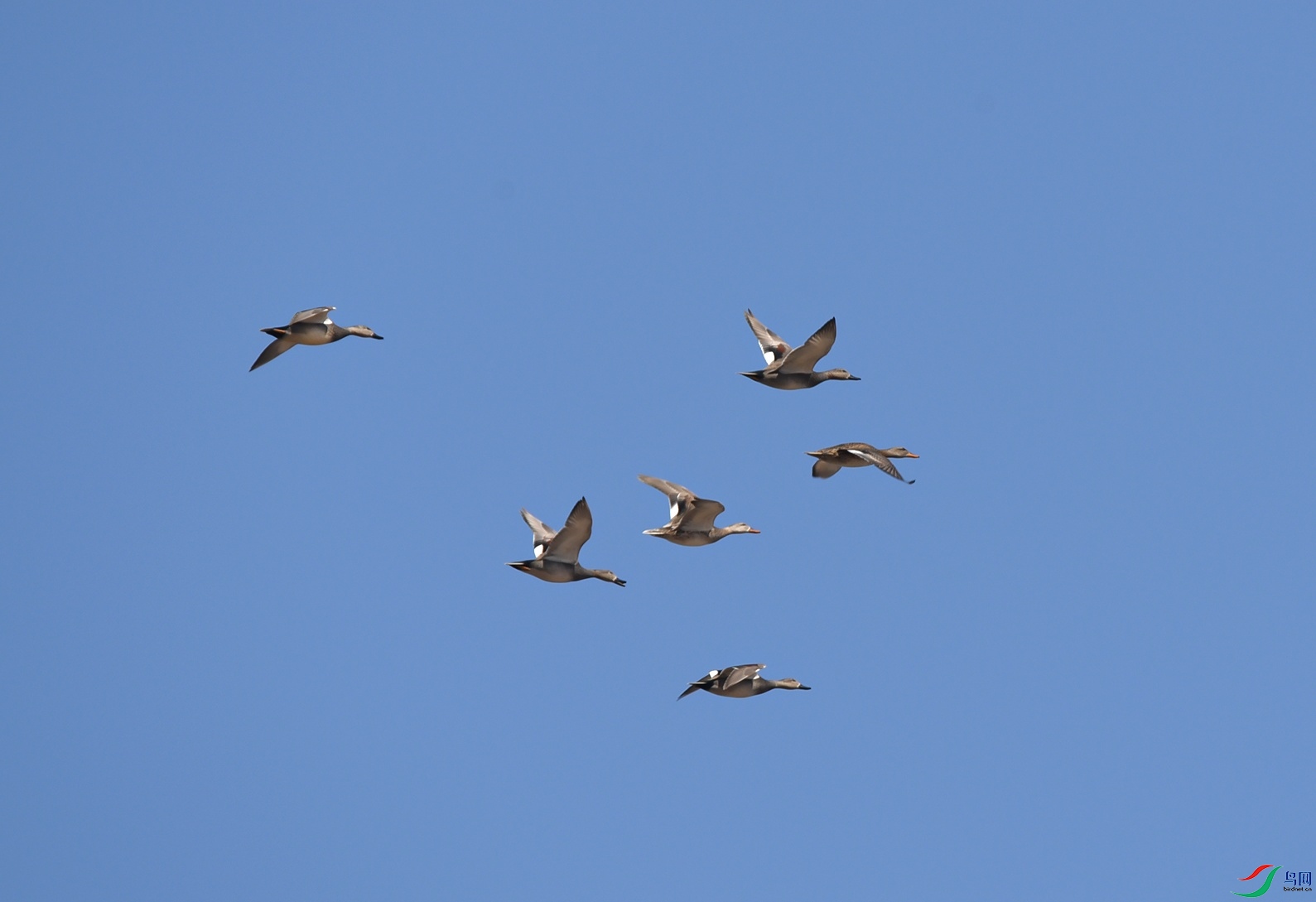 DSC_4624f.jpg