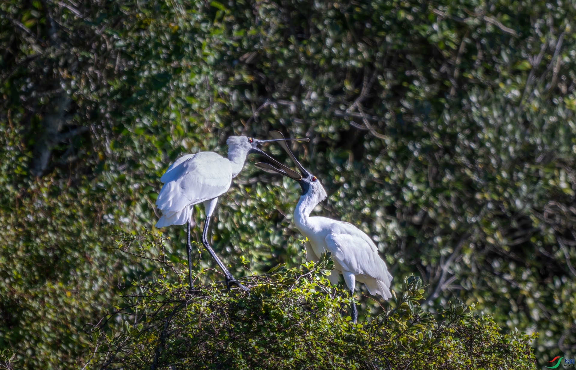 DSC_6769.jpg