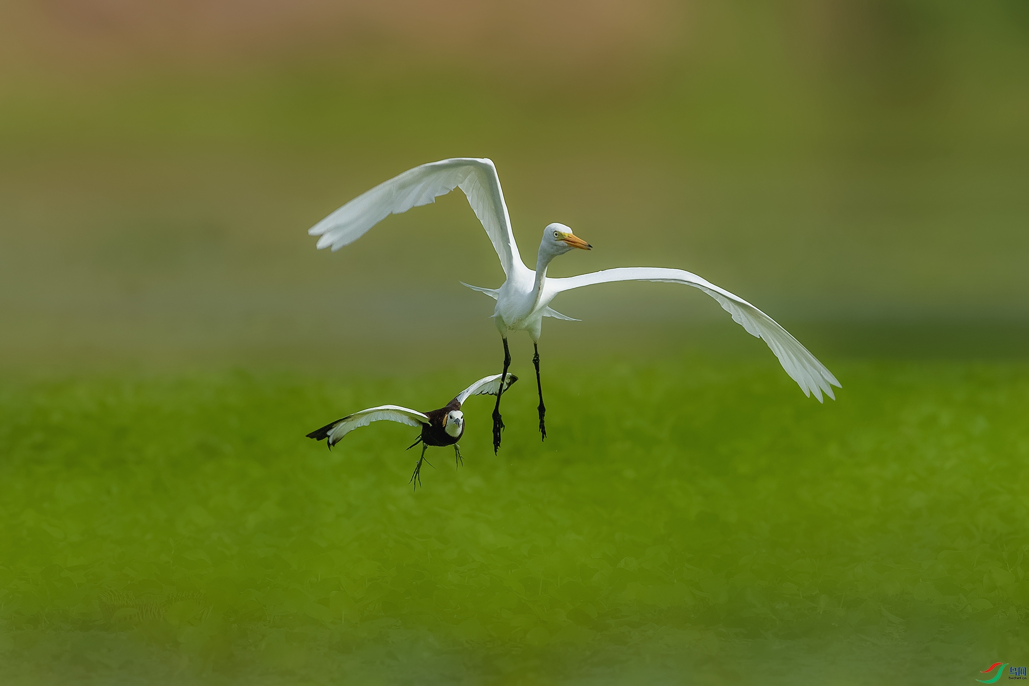 BE5I8296-2 ����.jpg