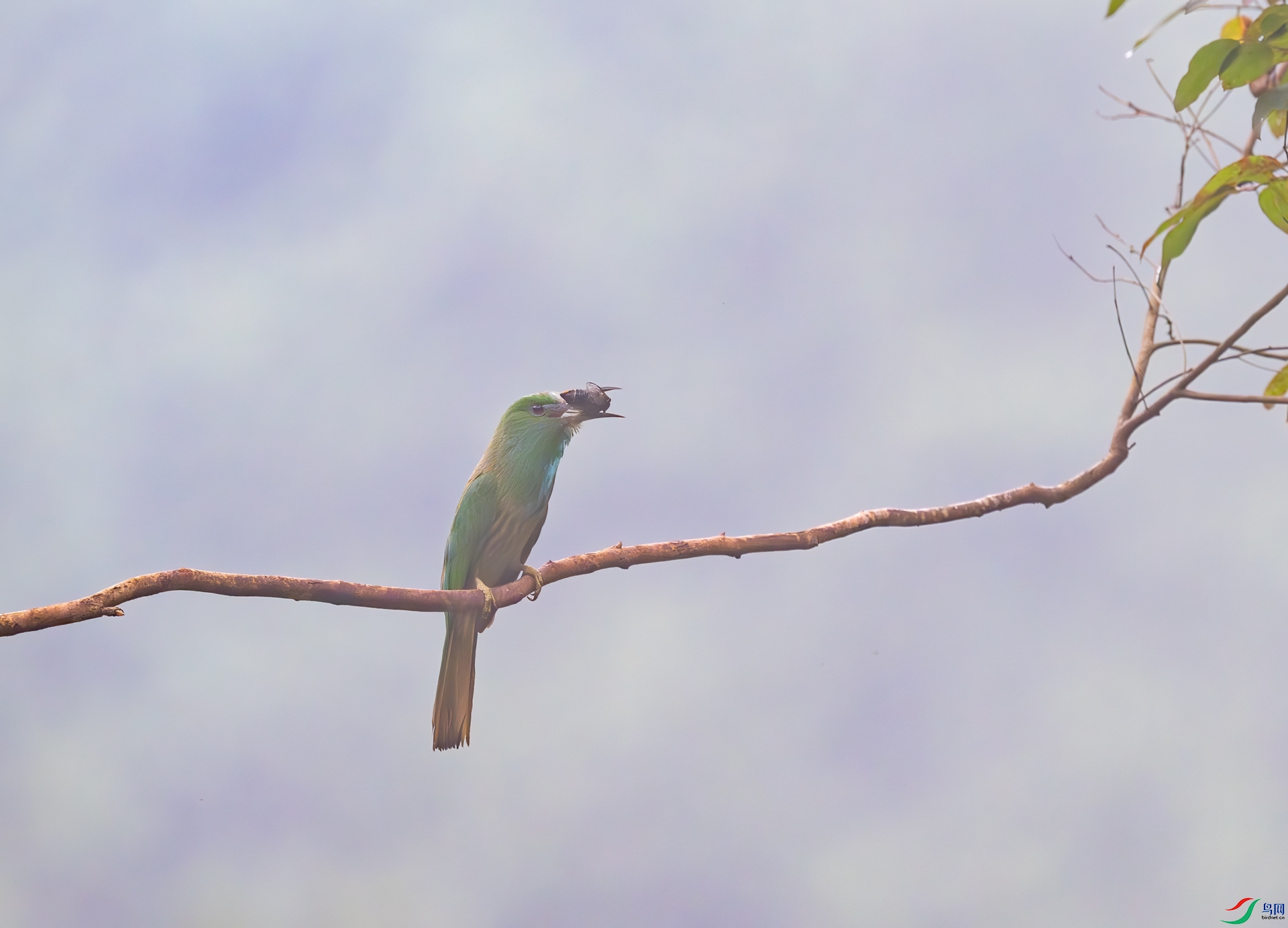 DSC_1477.jpg