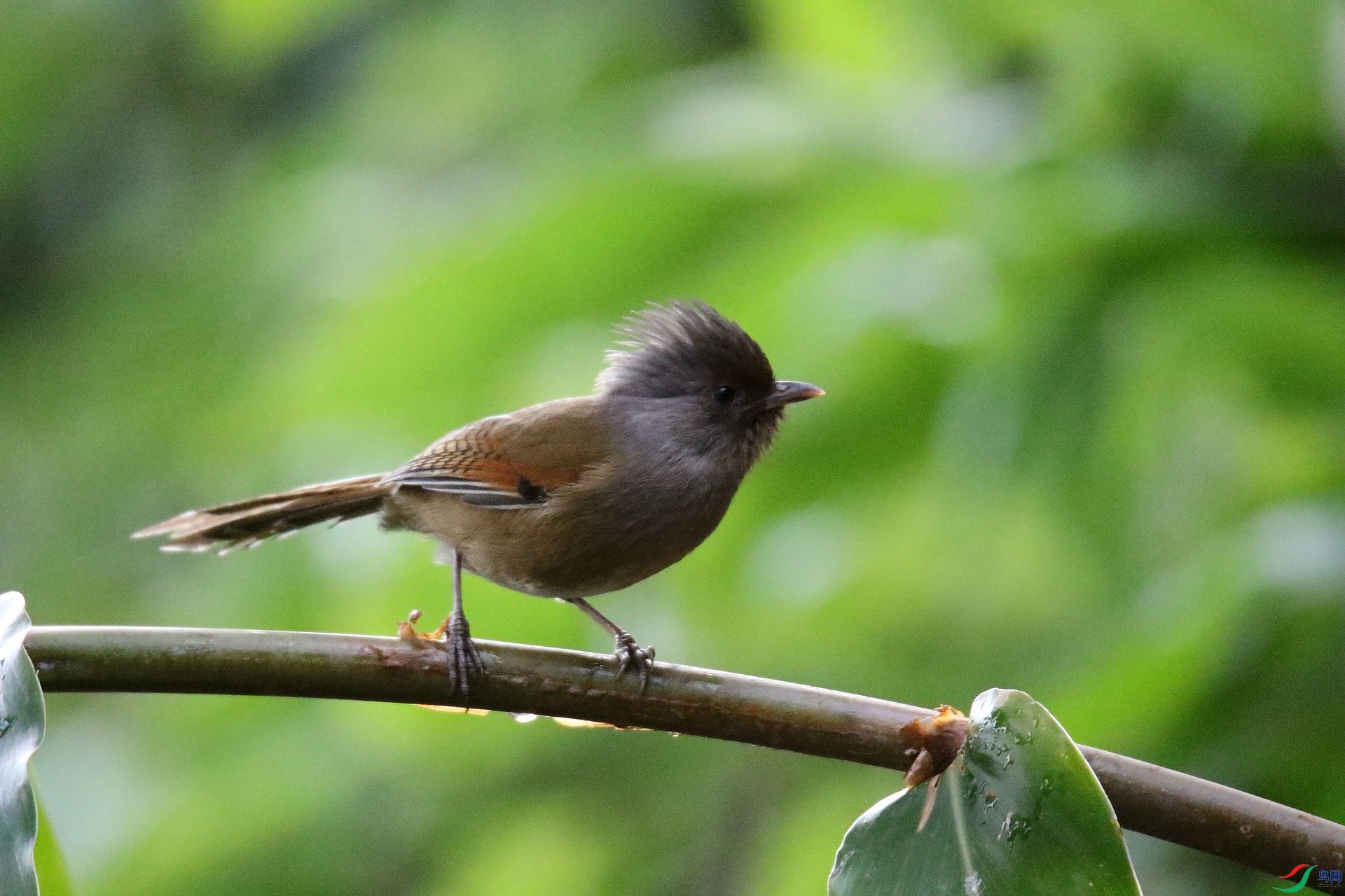 0F4A1306 - ����.JPG