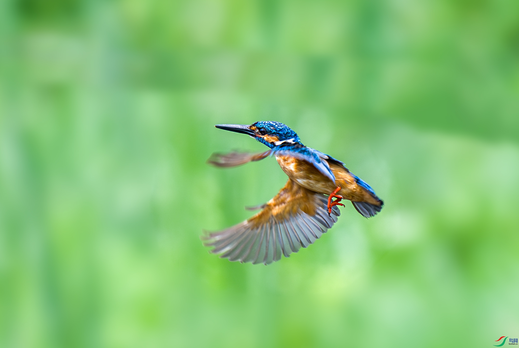 LJH_3261-����ǿ-NR.jpg