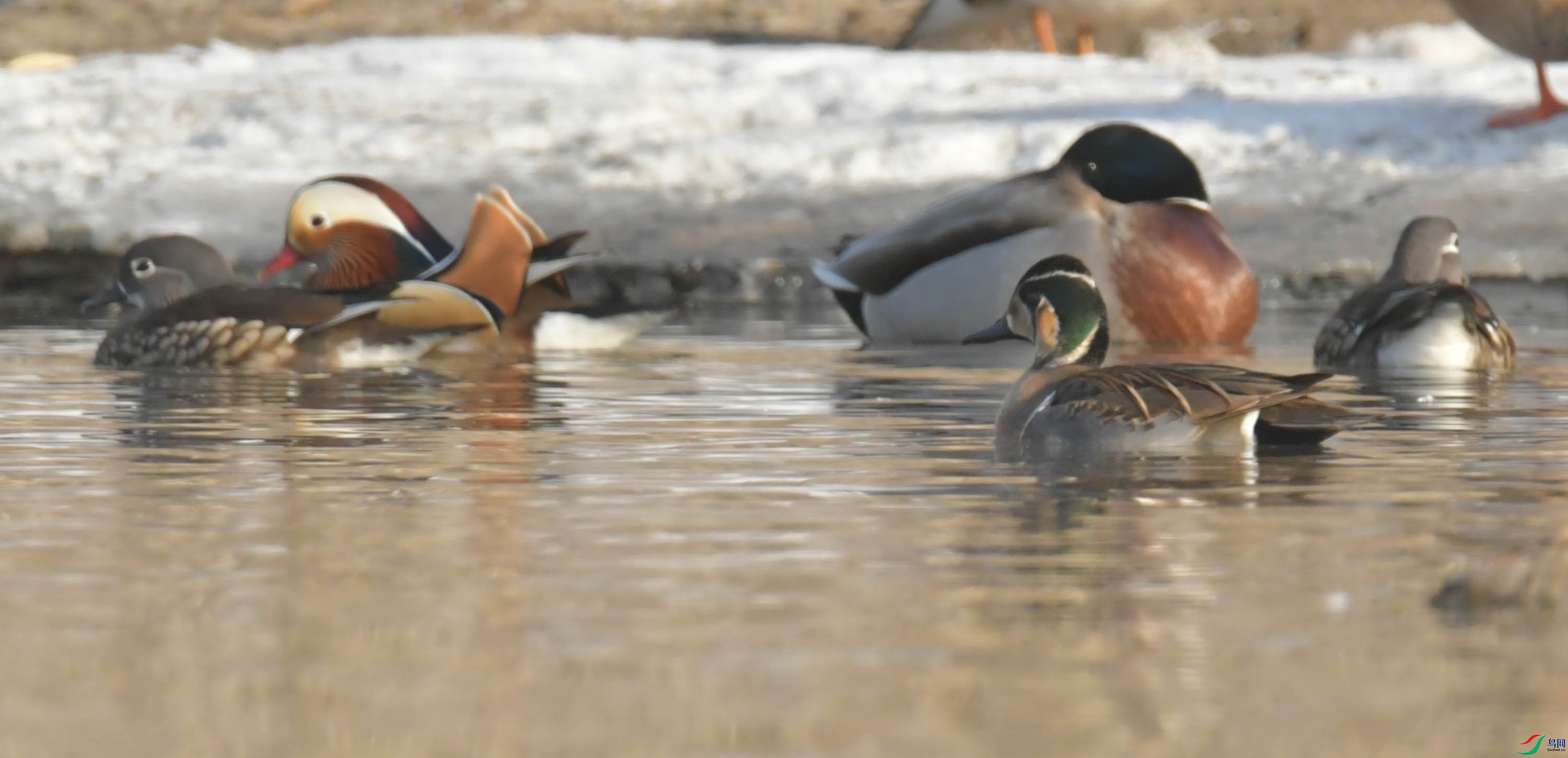 DSC_6171.JPG