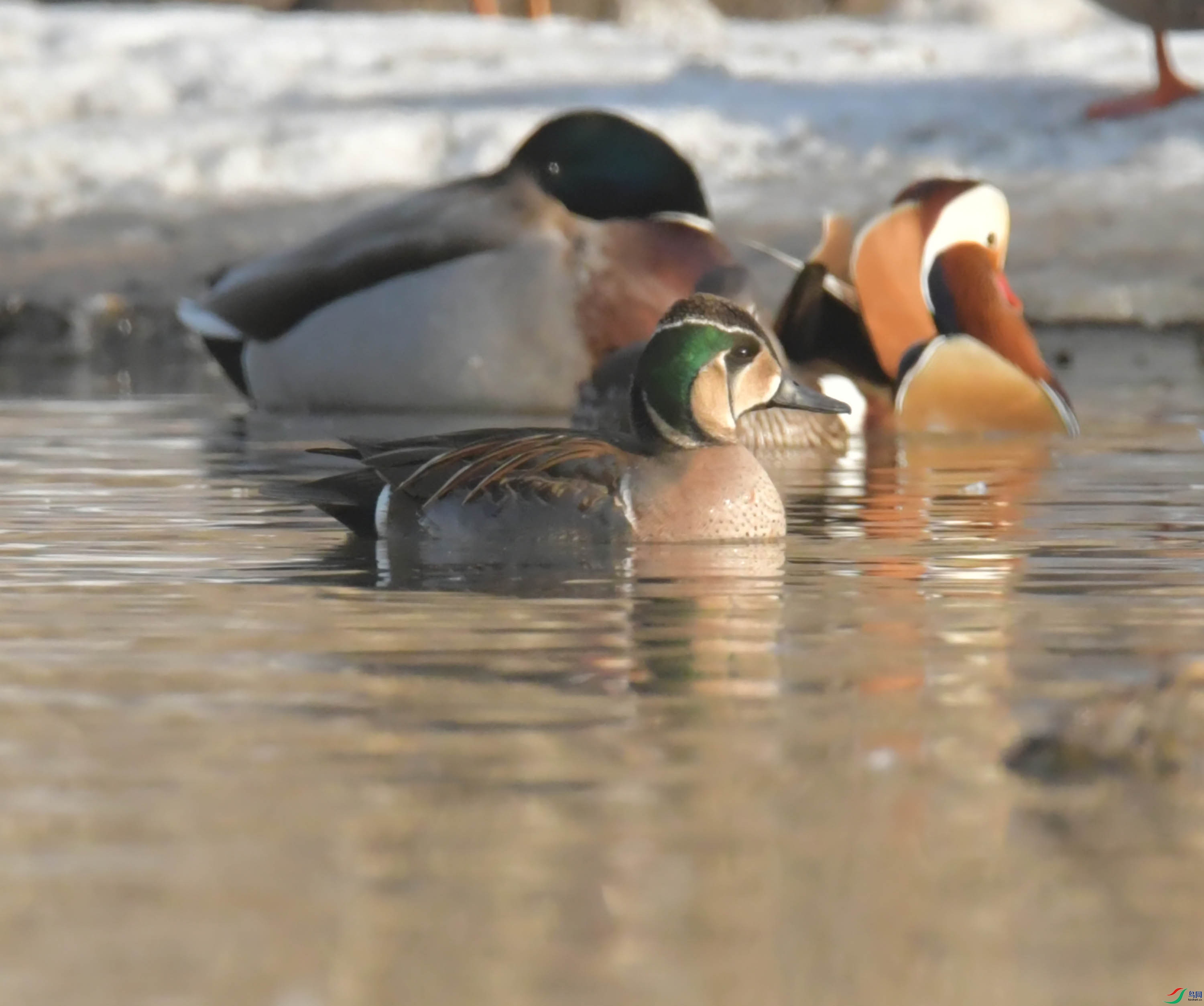 DSC_6159.JPG