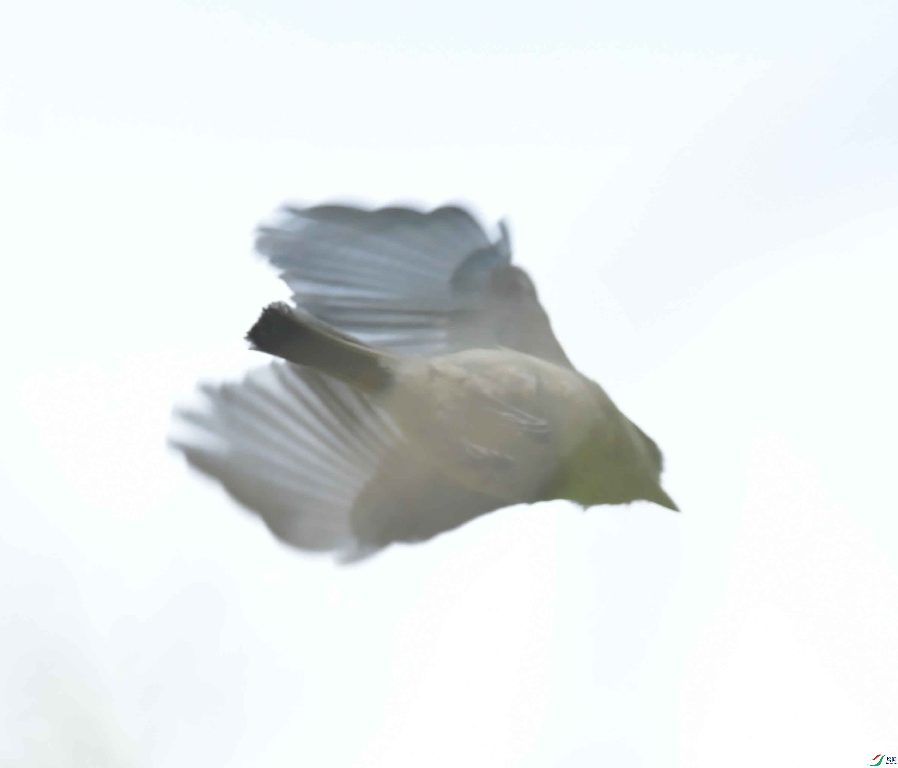 DSC_1680.JPG