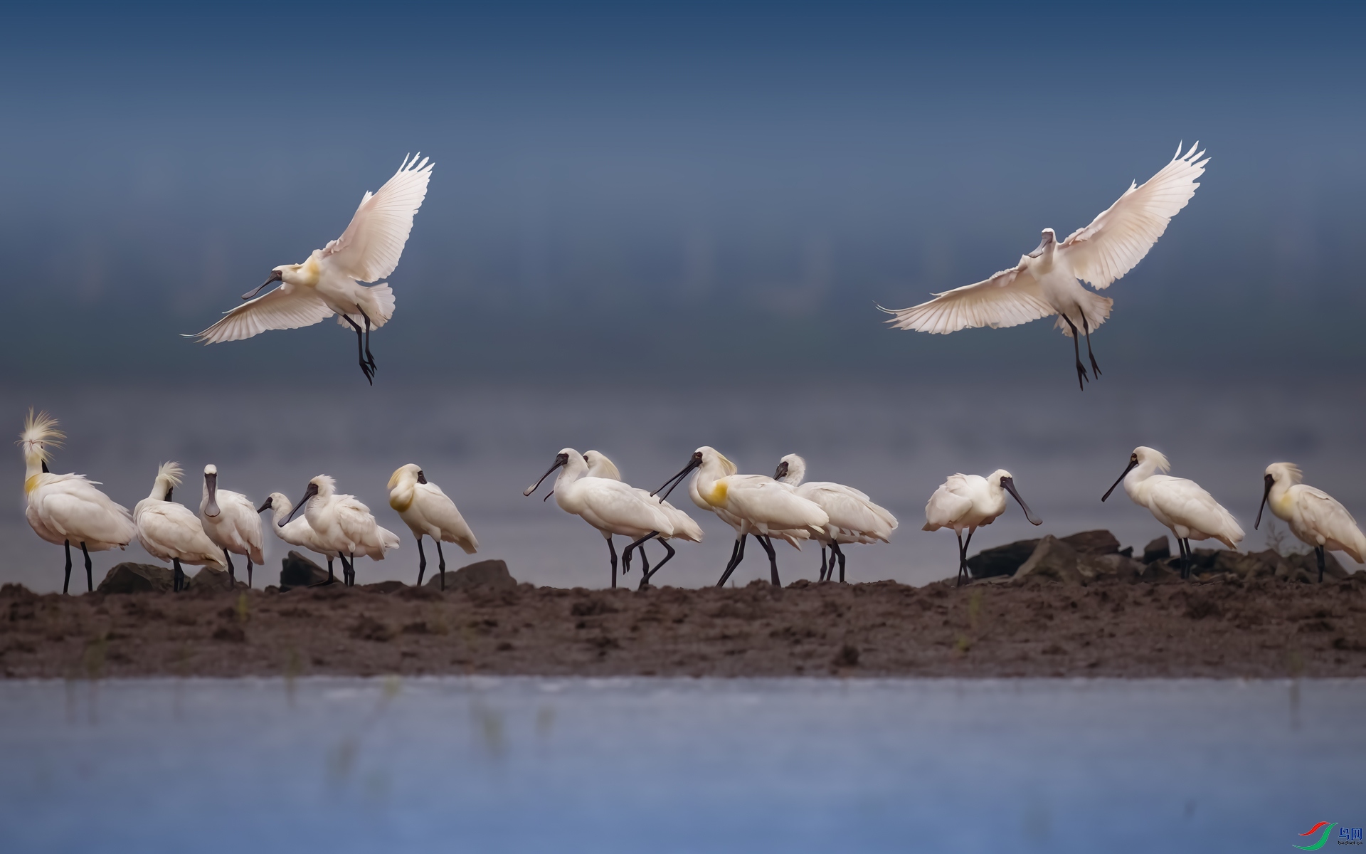 ��������