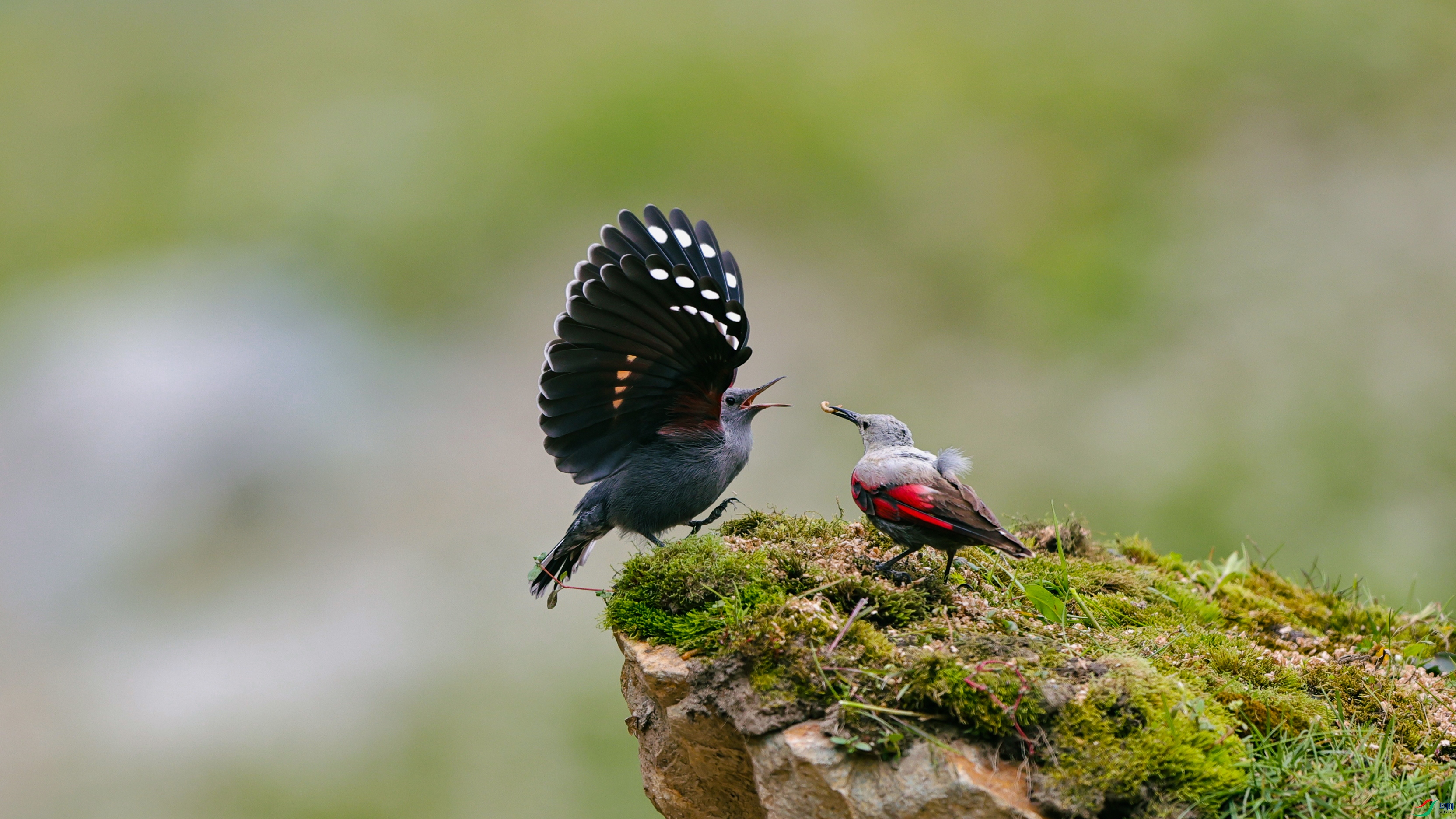 7X5A0612 ����555.jpg