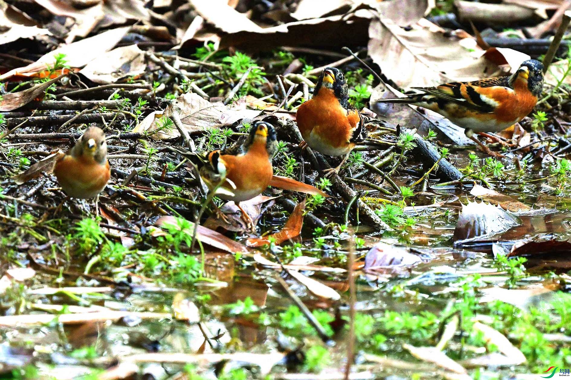 DSC_5579_����.jpg