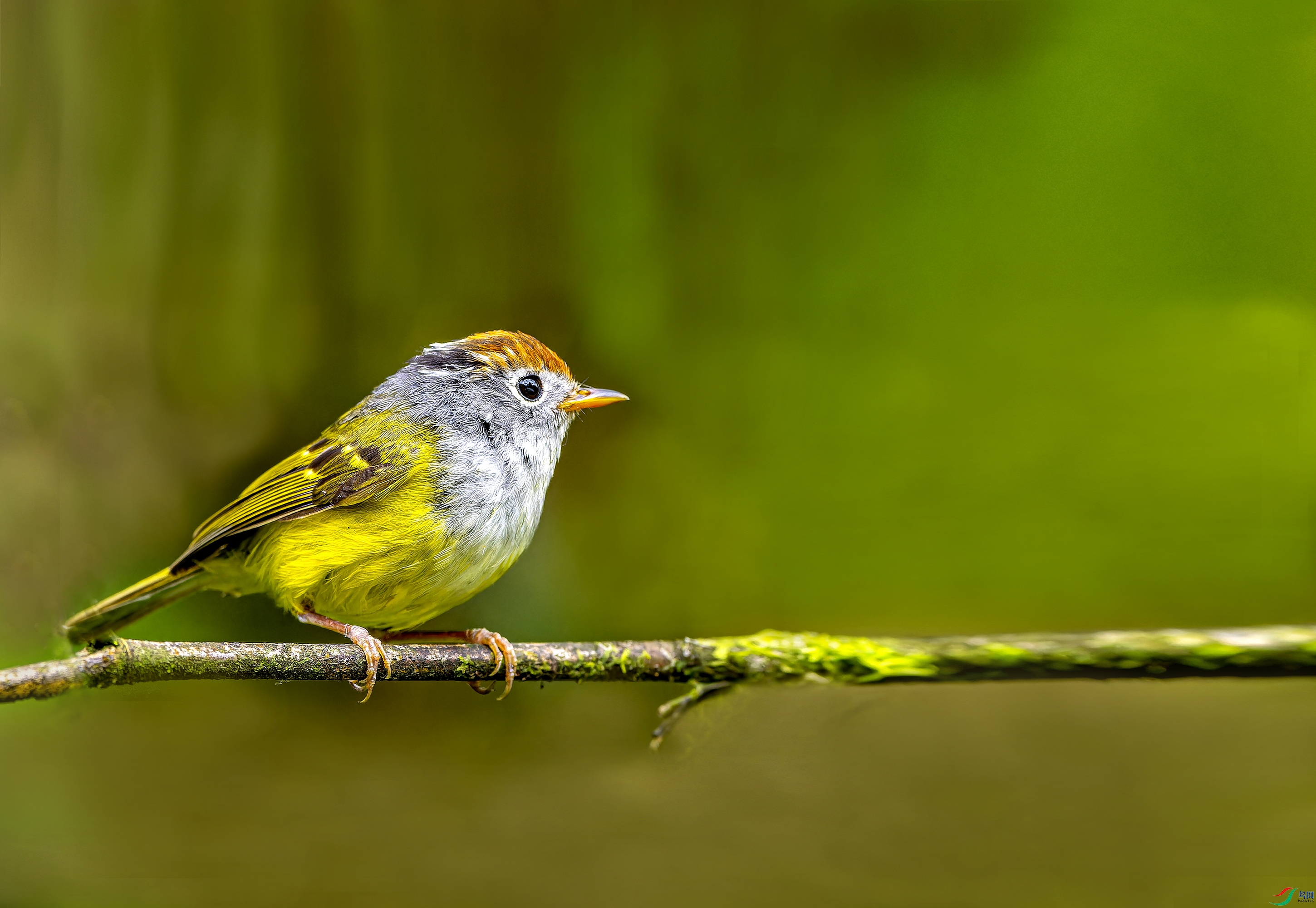 ��ͷ�lݺ (3)-1.jpg