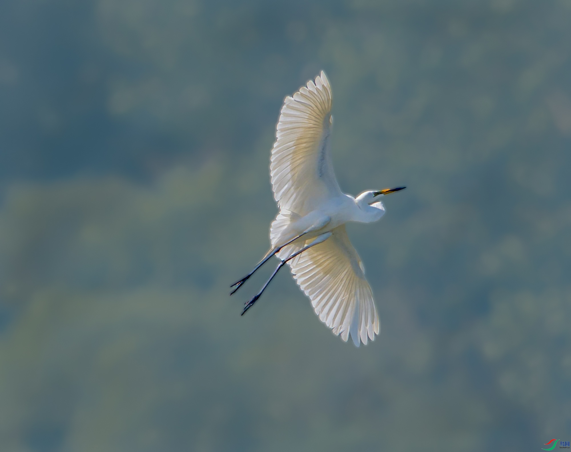 DSC_2783 չ��������_--1.jpg