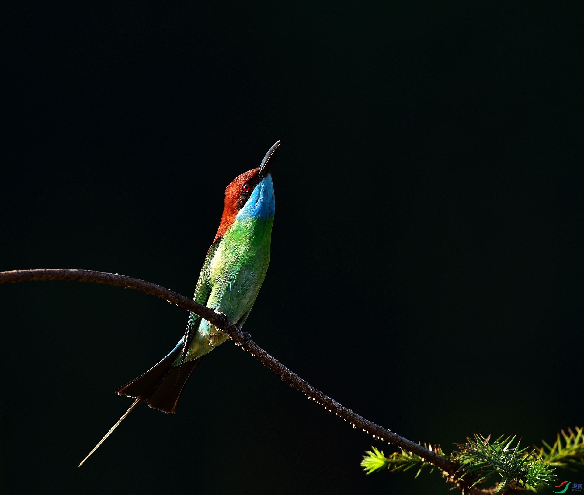 D8I_6953.jpg