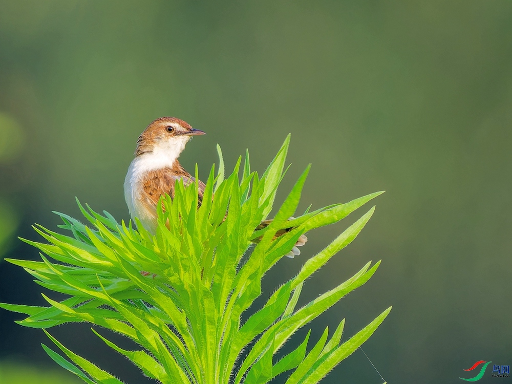 P6110508_DxO - ����.jpg