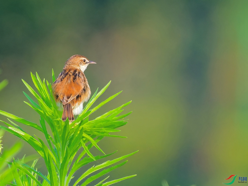 P6110824_DxO - ����.jpg