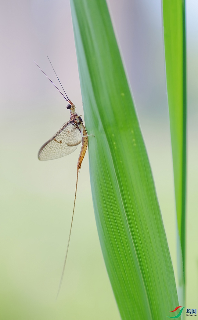 DSCF25483.jpg