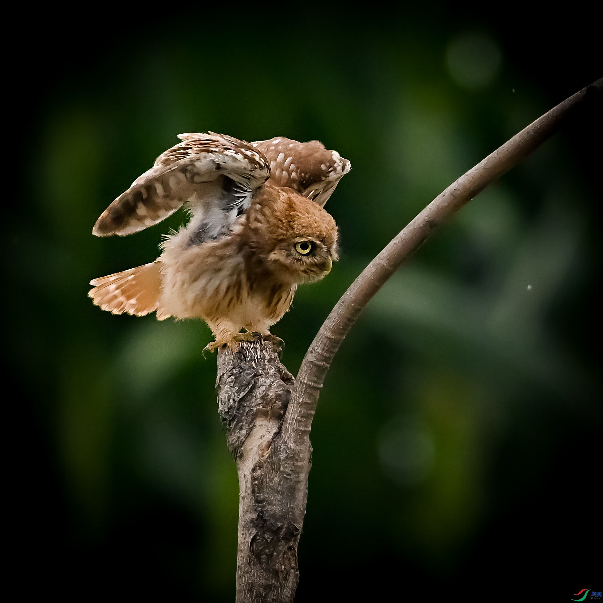 DSC_5421.jpg