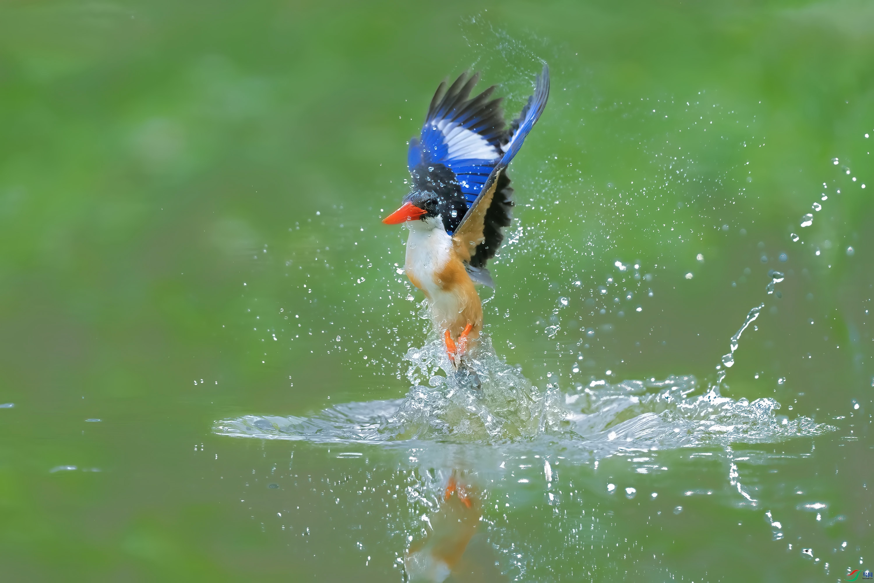 DSC01929 ����2.jpg