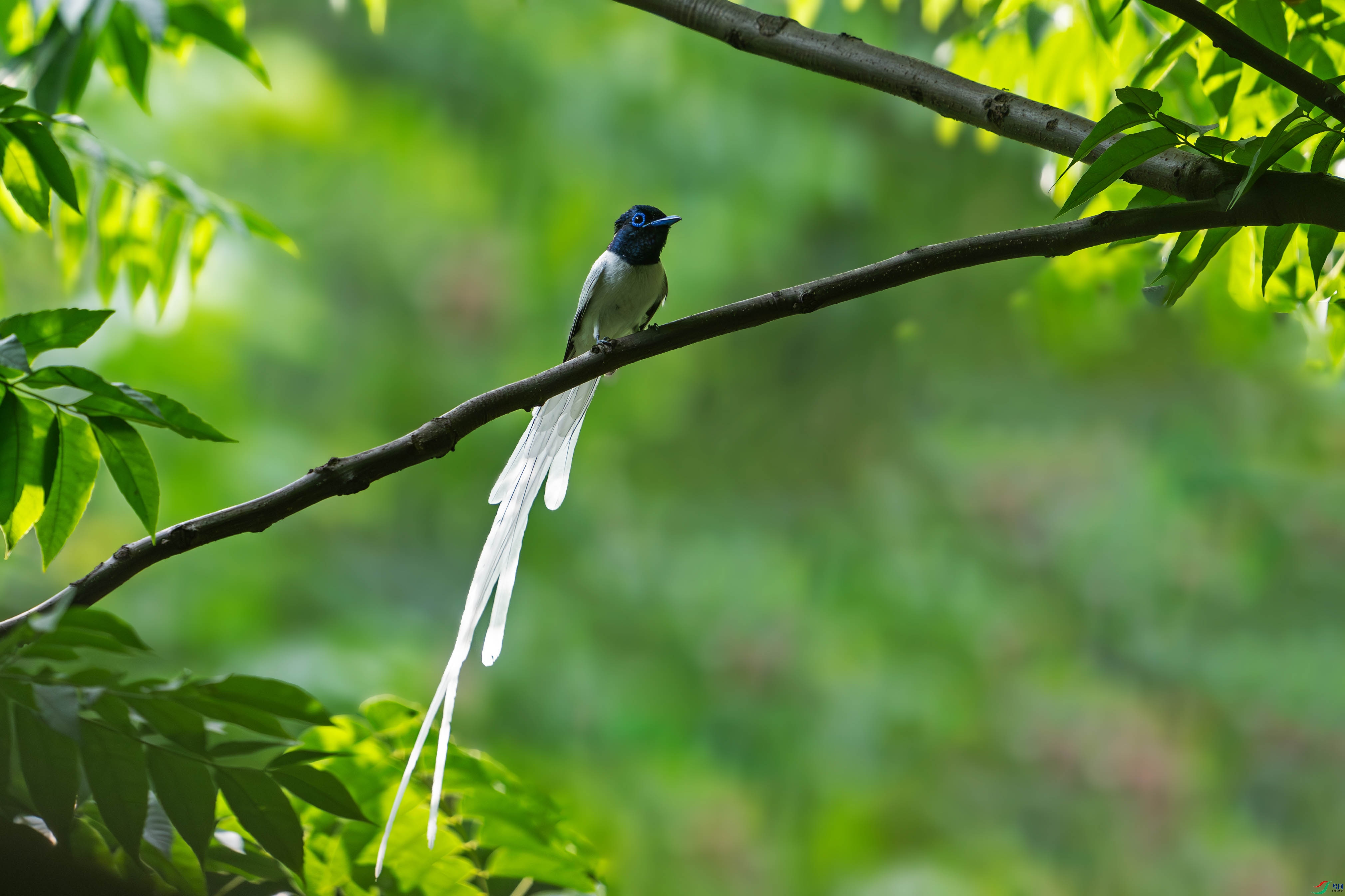 DSC_6865-����ǿ-NR.jpg1.jpg