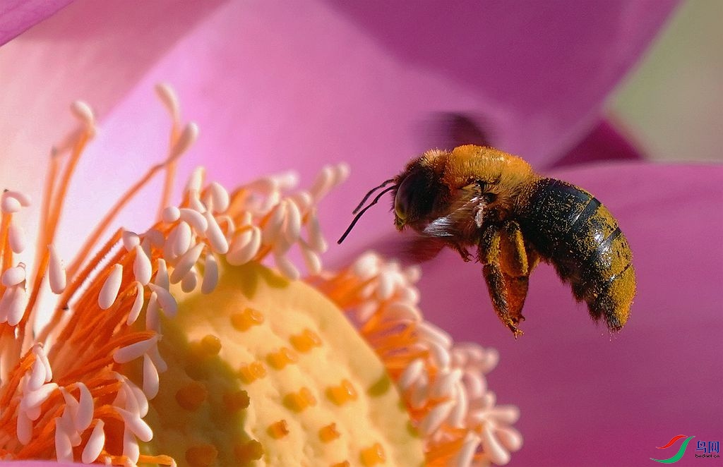 DSC09934_����.jpg