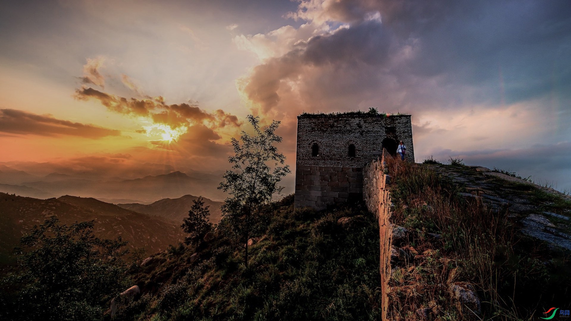 56_XXL4815-1 ���� 4.jpeg