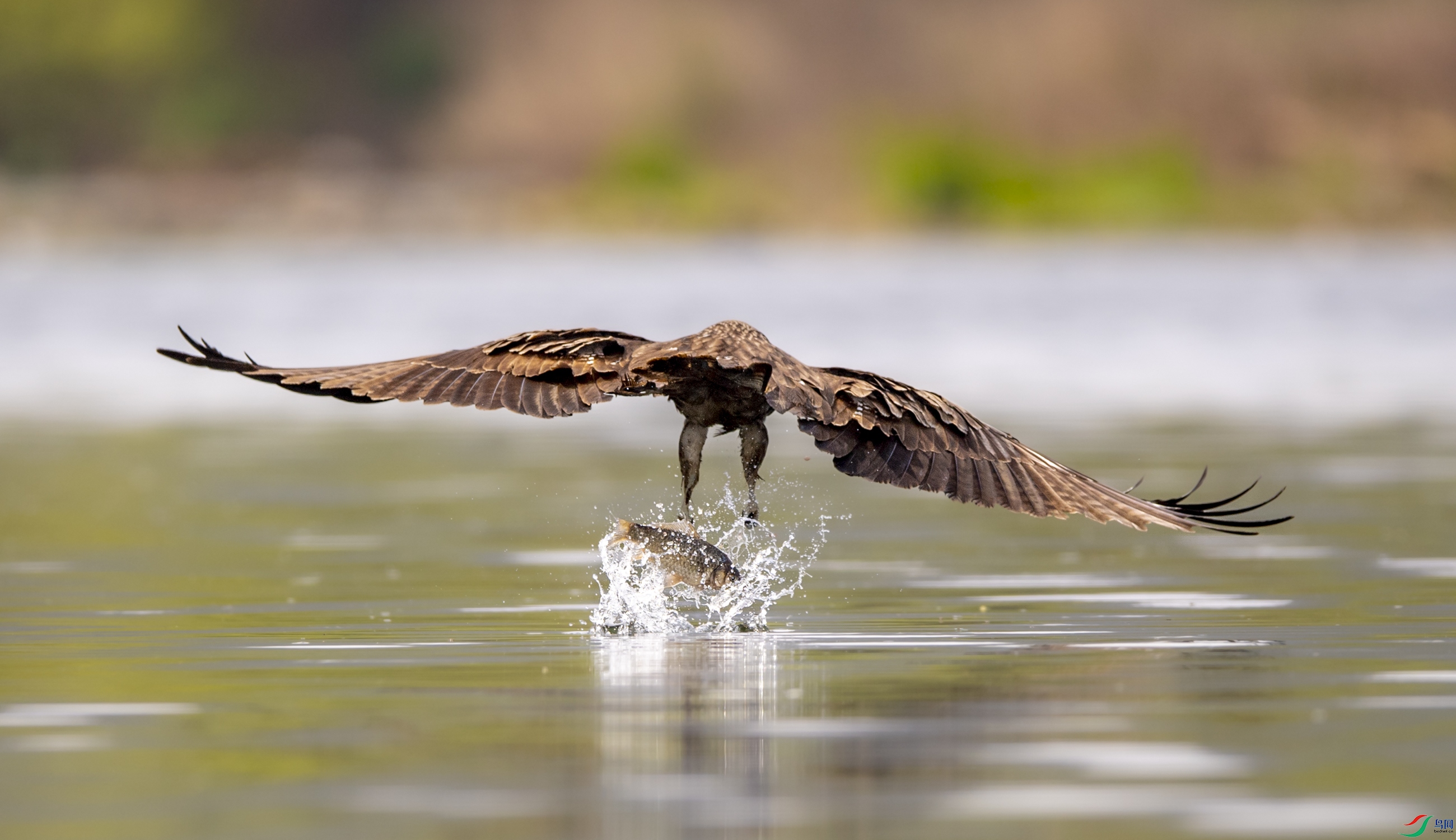 DSC_6660�ڶ��.JPG