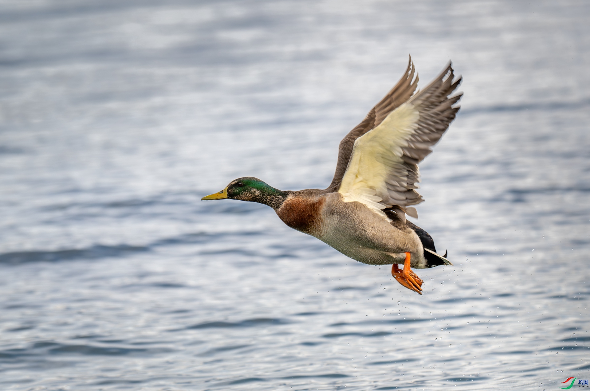 DSC_0659.jpg