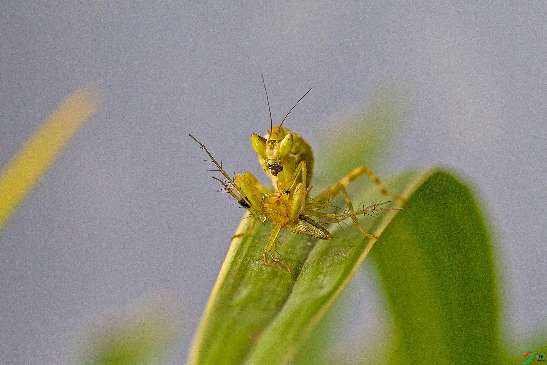 N38A7910.jpg