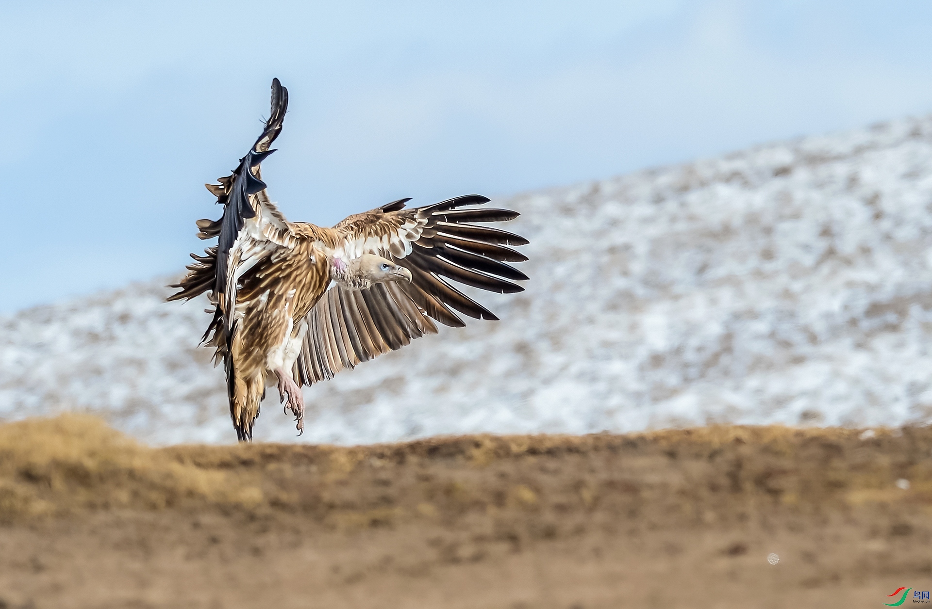 DSC_5702-1.jpg