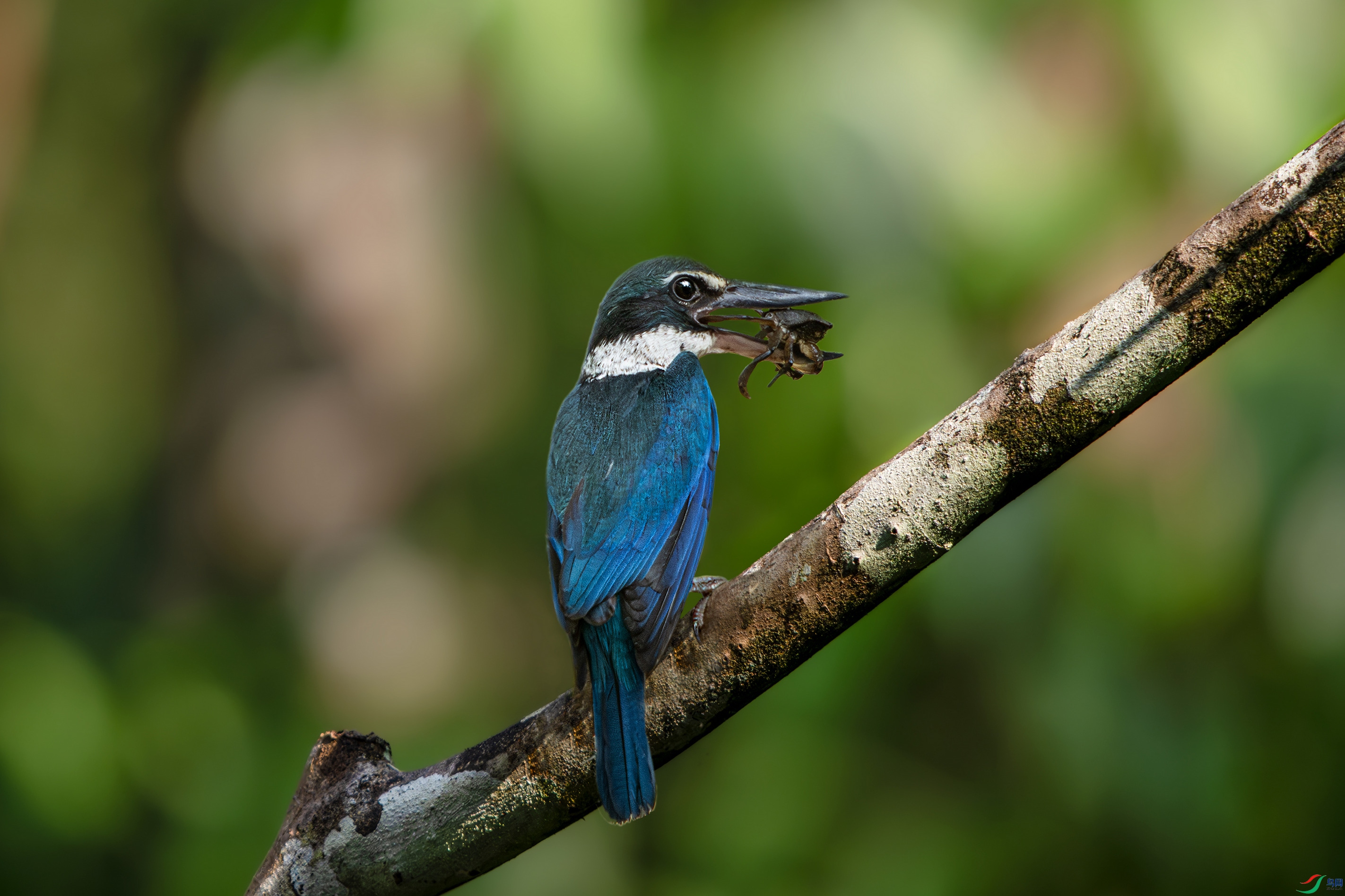 DSC_5028.jpg