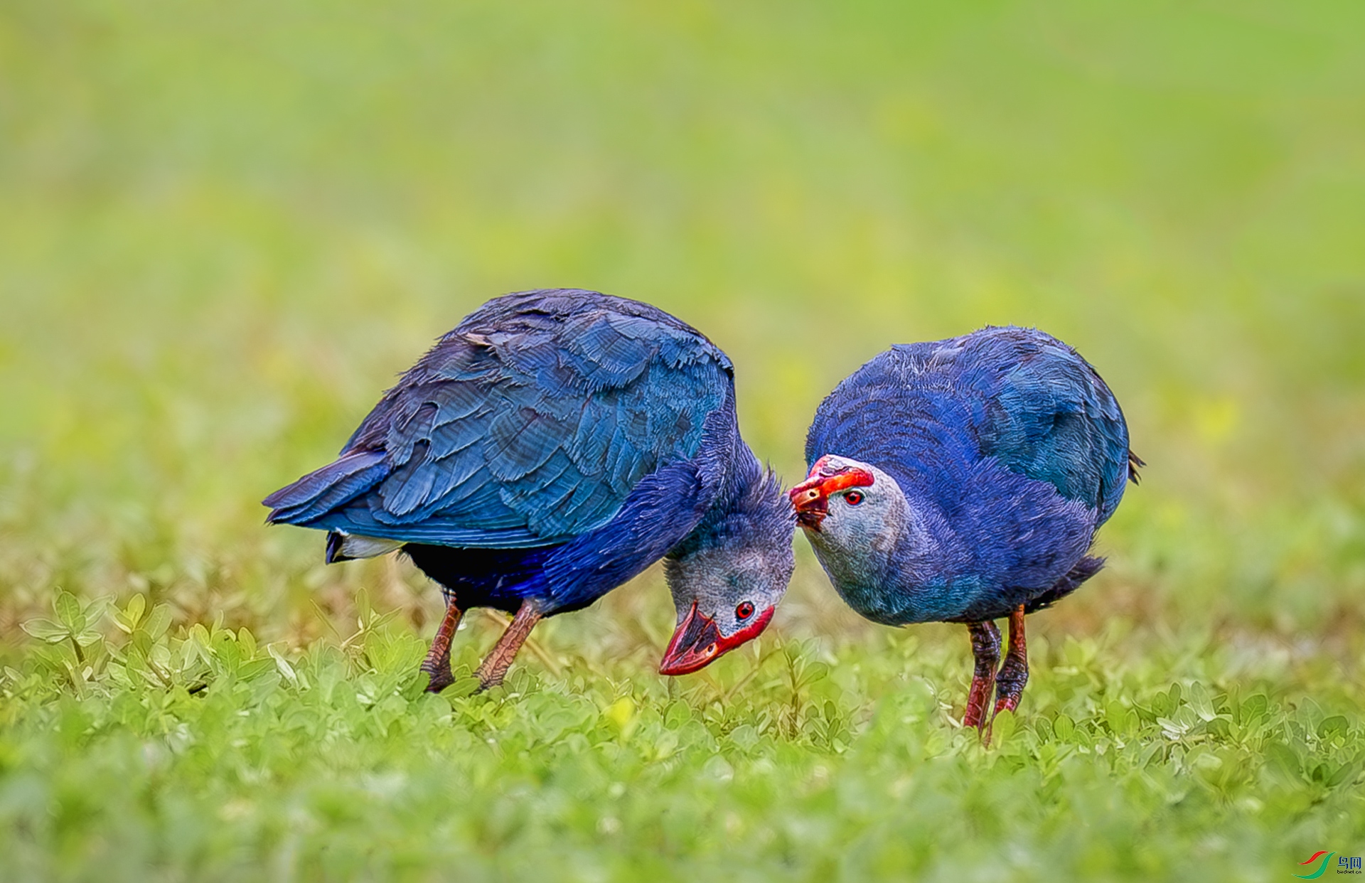 _YH_7539-����ǿ-NR-11.jpg