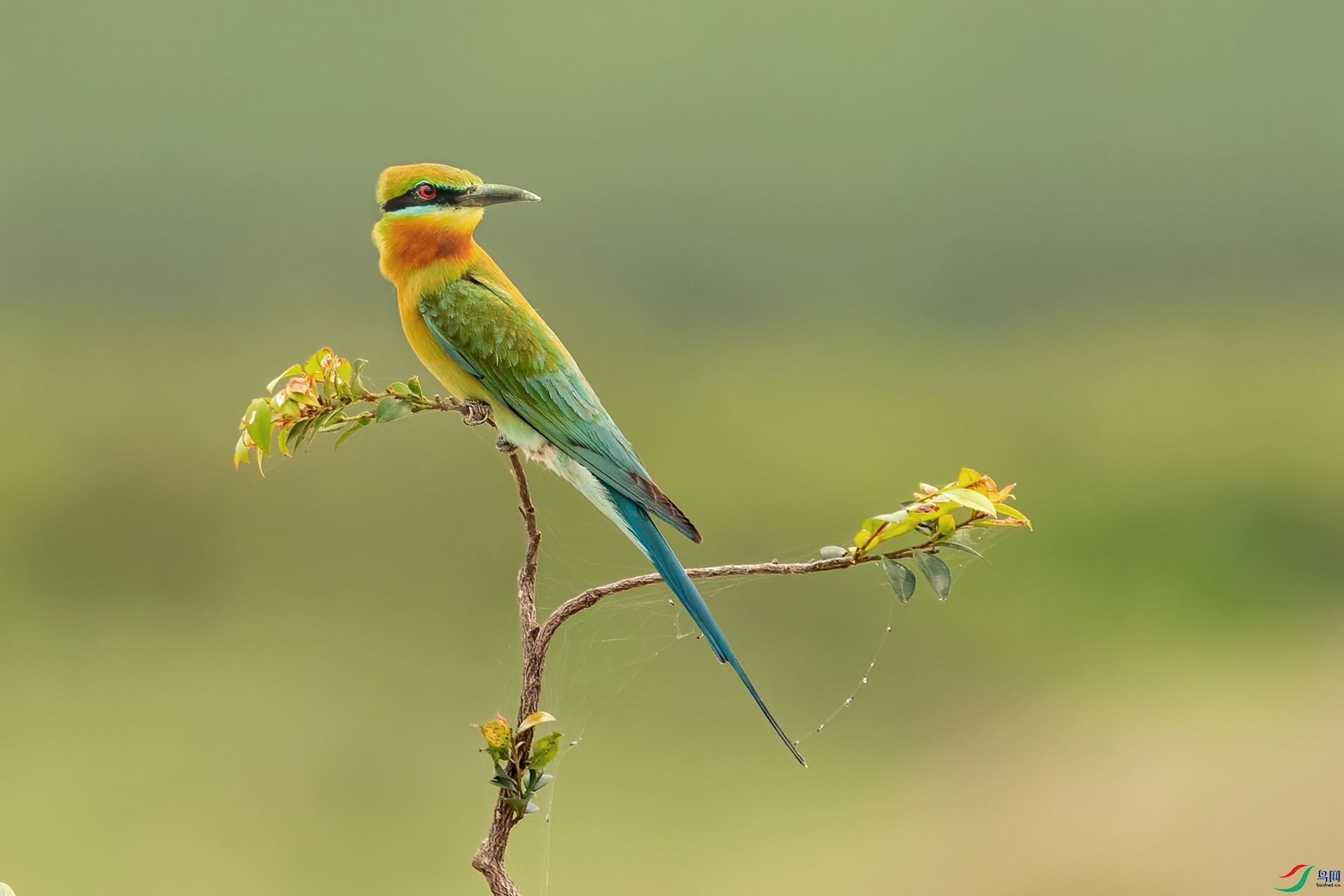 B86I5388 _����.jpg