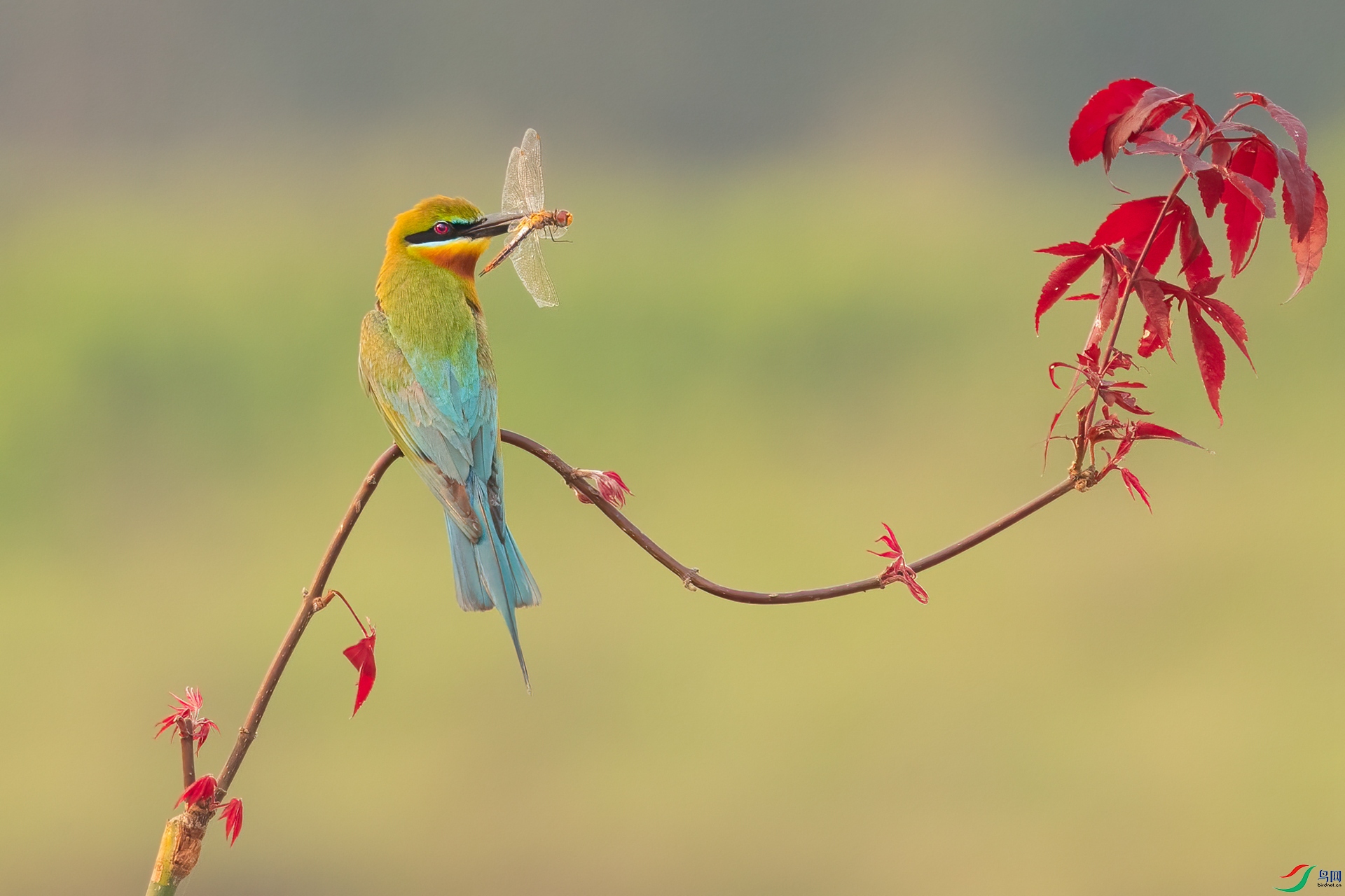 B86I6902 _����.jpg