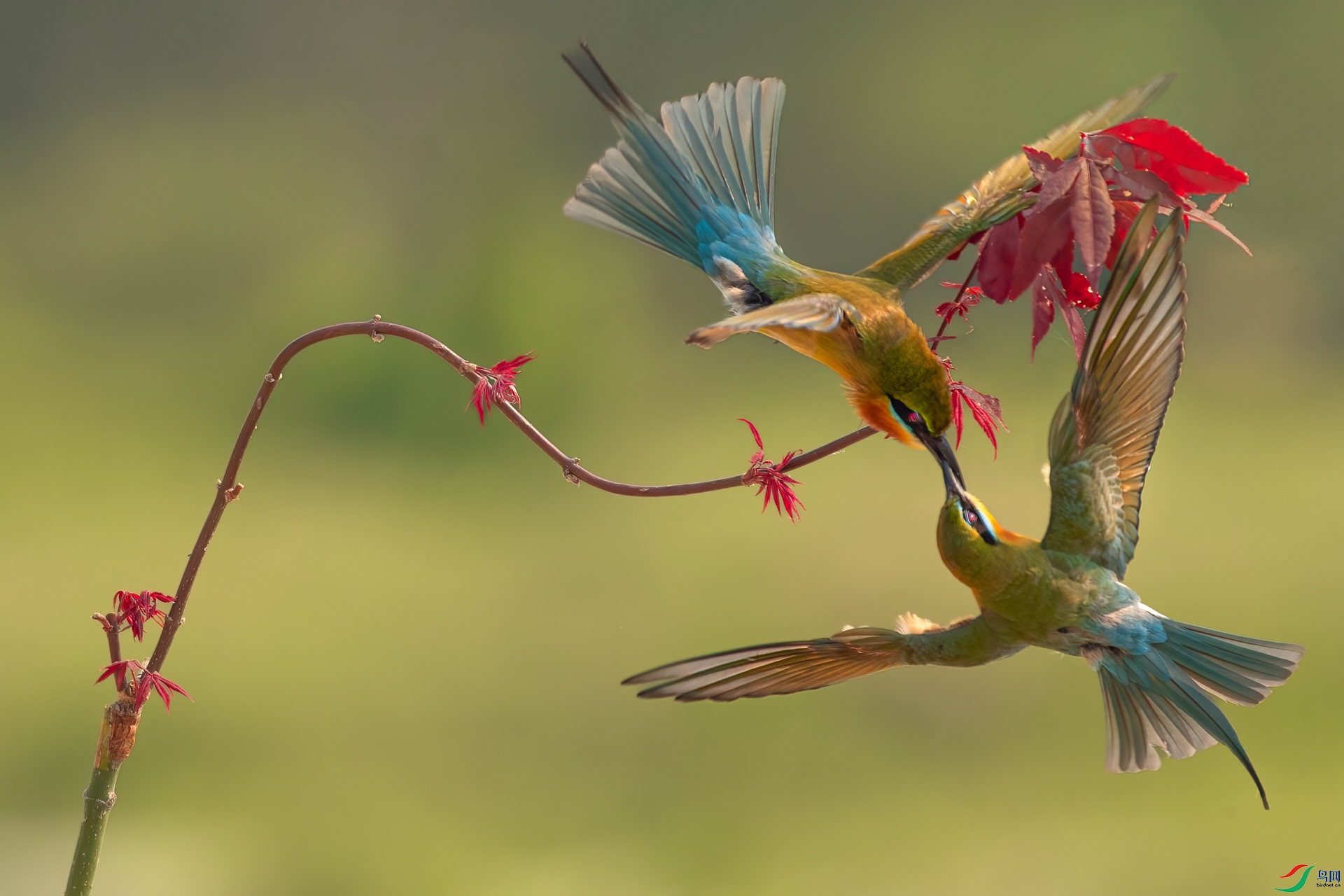 B86I8634 _����.jpg