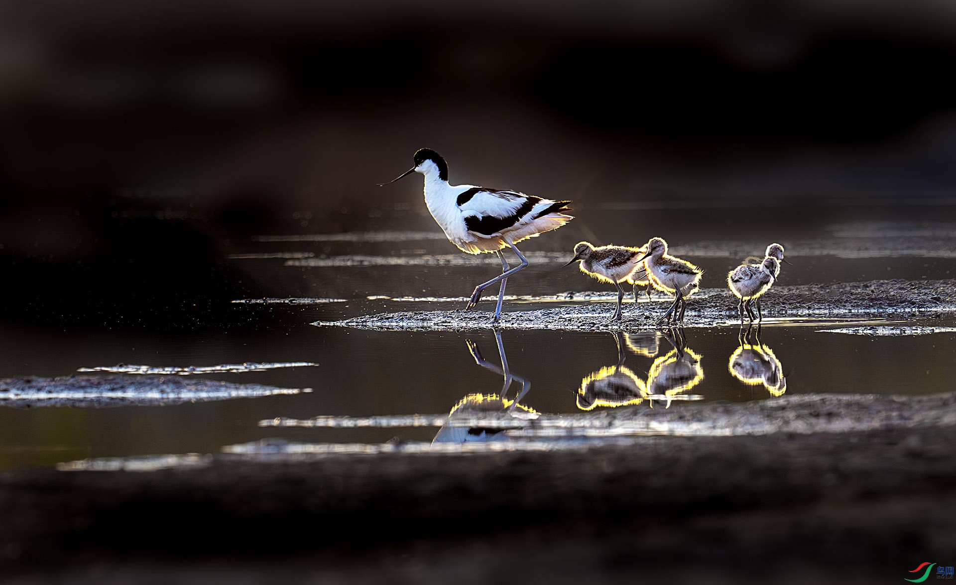 _DSC2525-���� 2.jpg