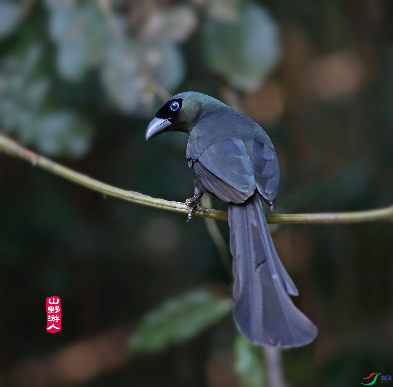 F00A5662.jpg