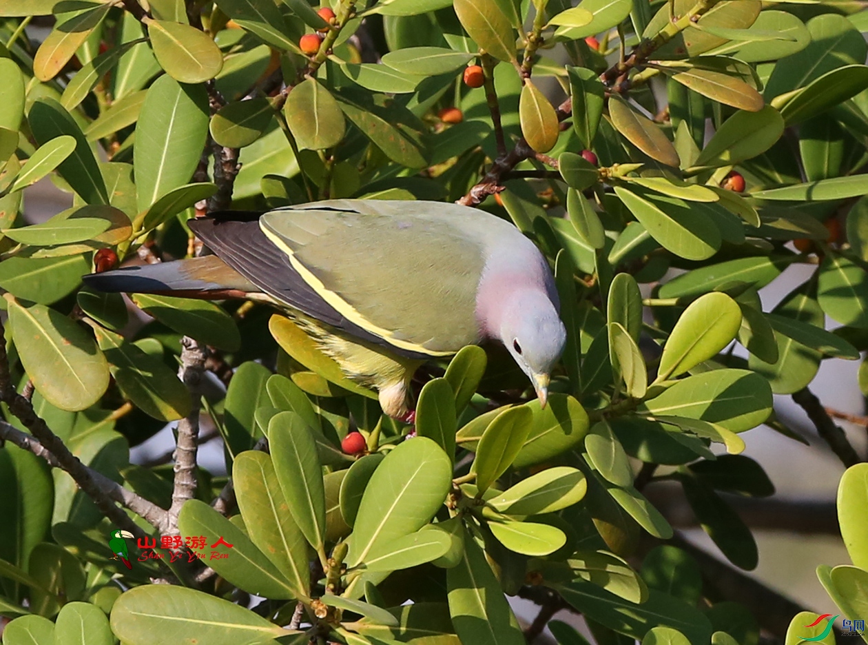 F00A2136.jpg