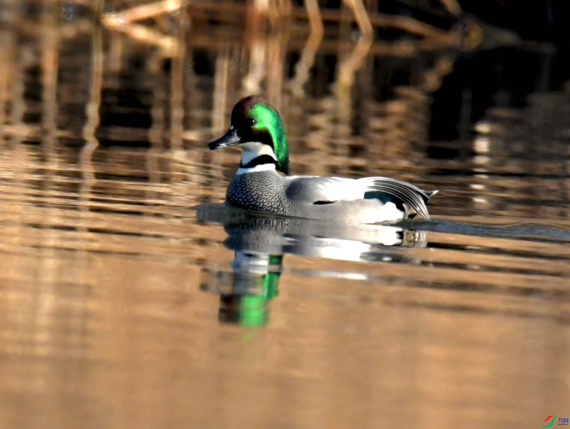DSC_4012.JPG