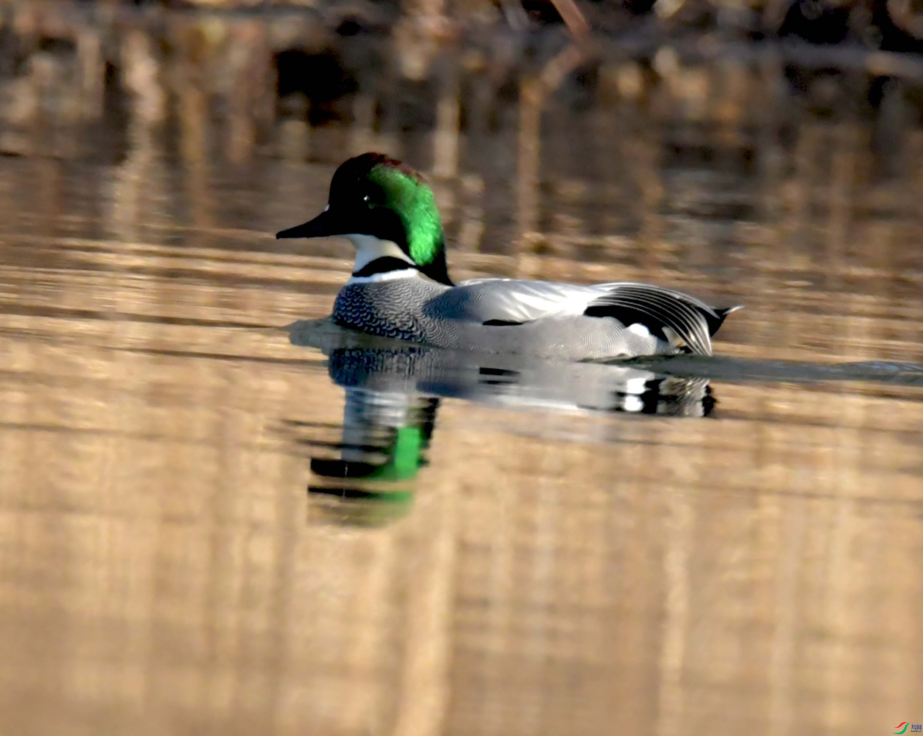 DSC_4027.JPG