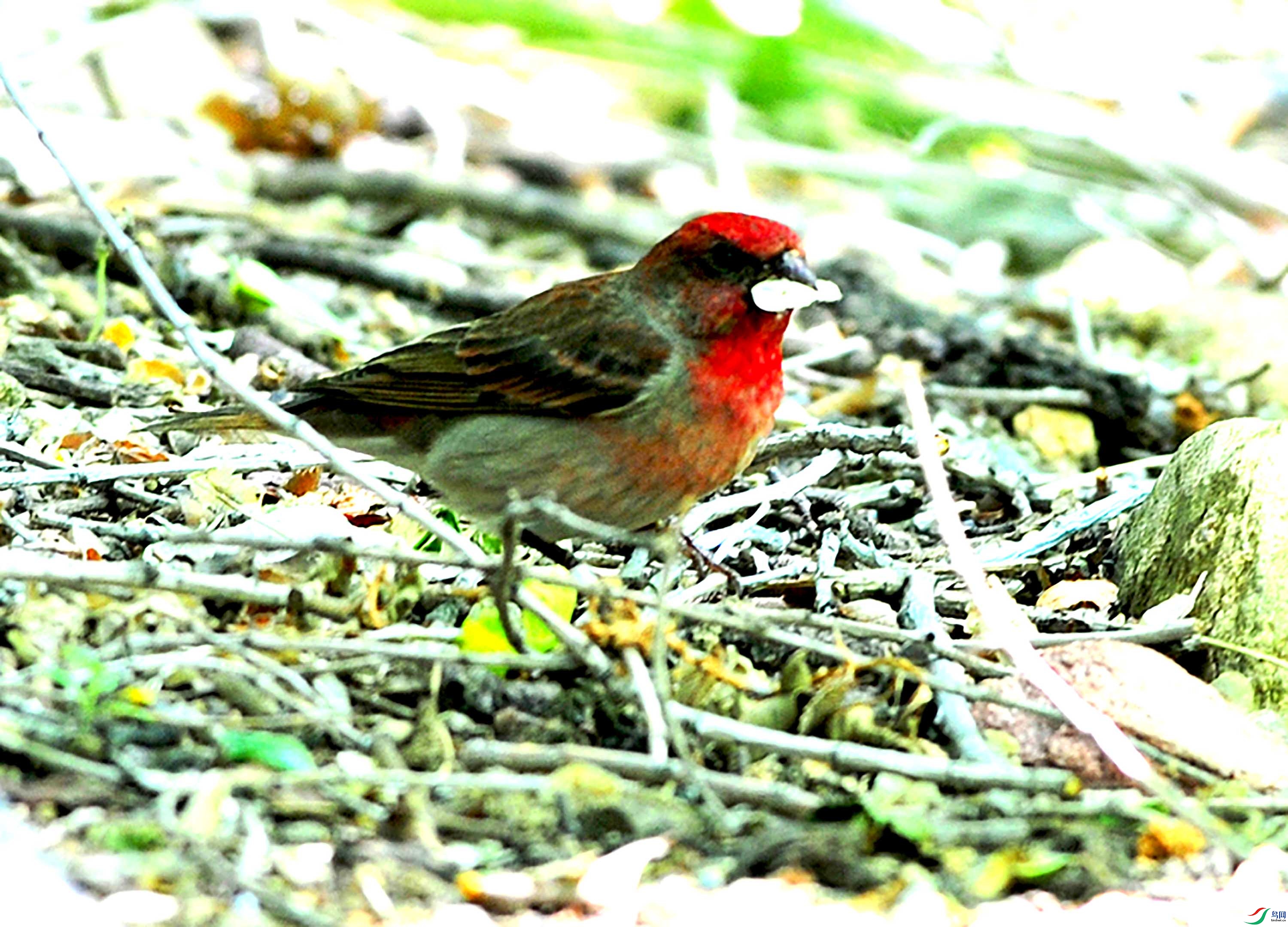 DSC_6020.JPG