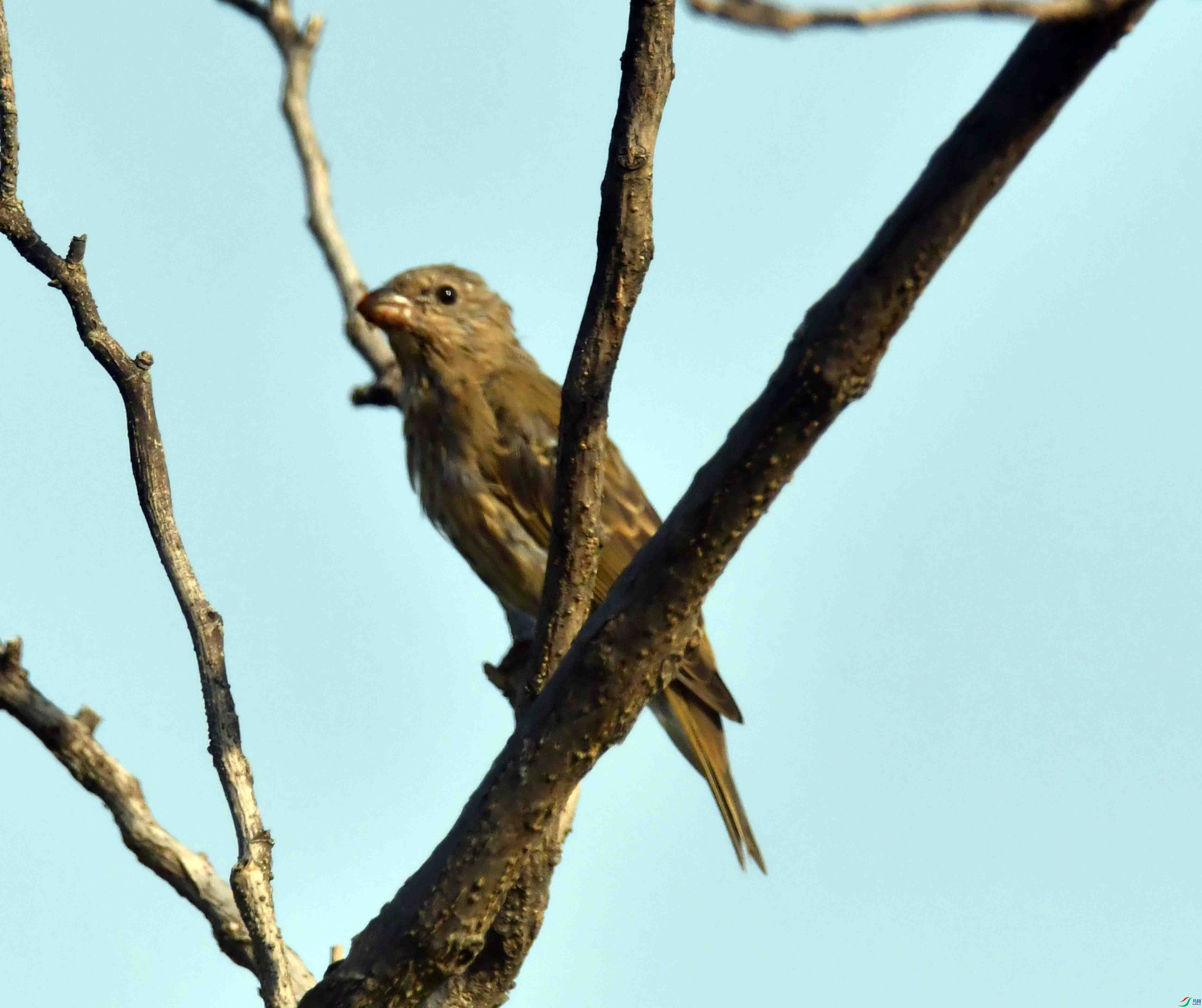 DSC_7340.JPG