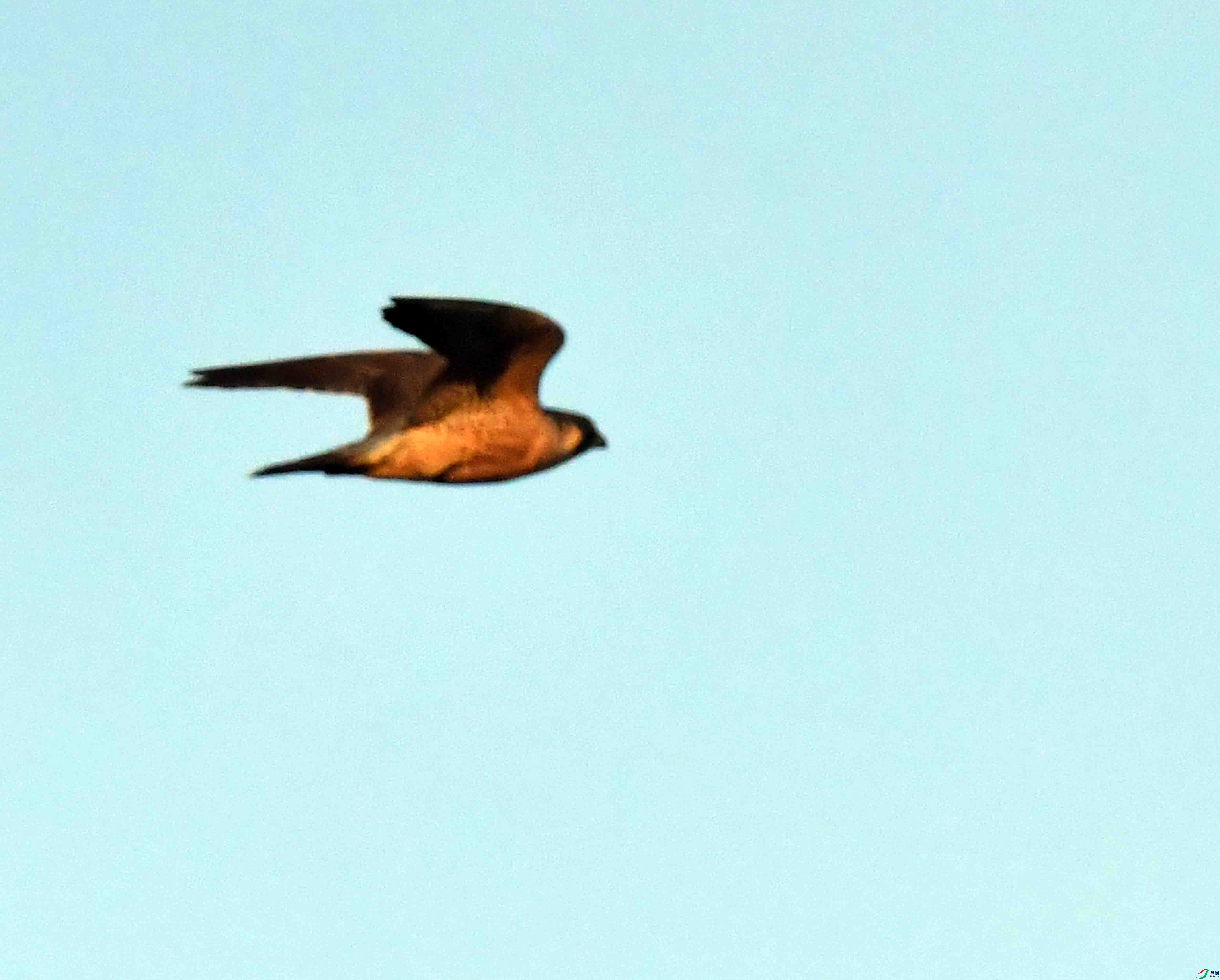 DSC_8965.JPG