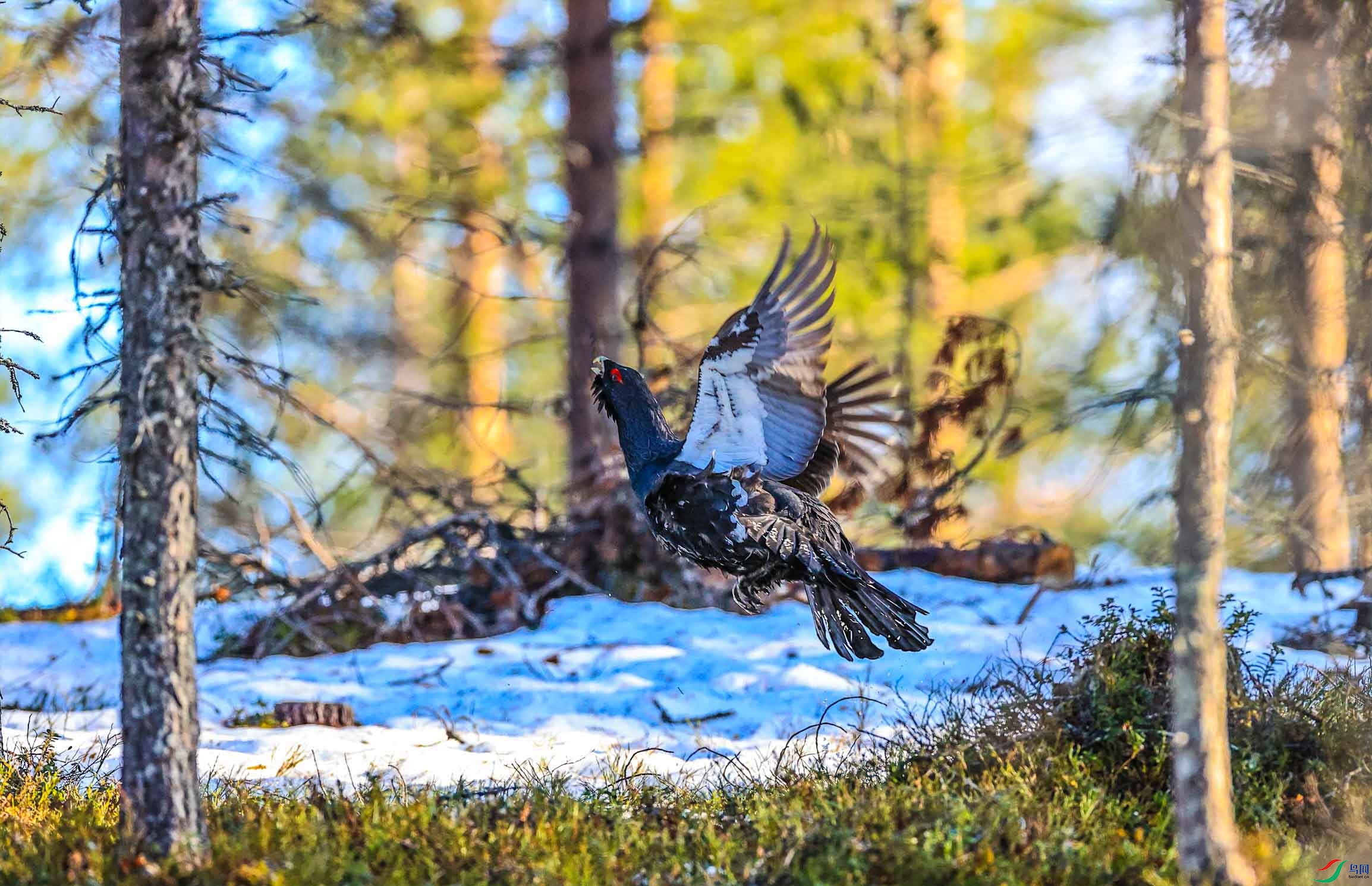 �����ɼ�Ҫ������������3 ����.jpg