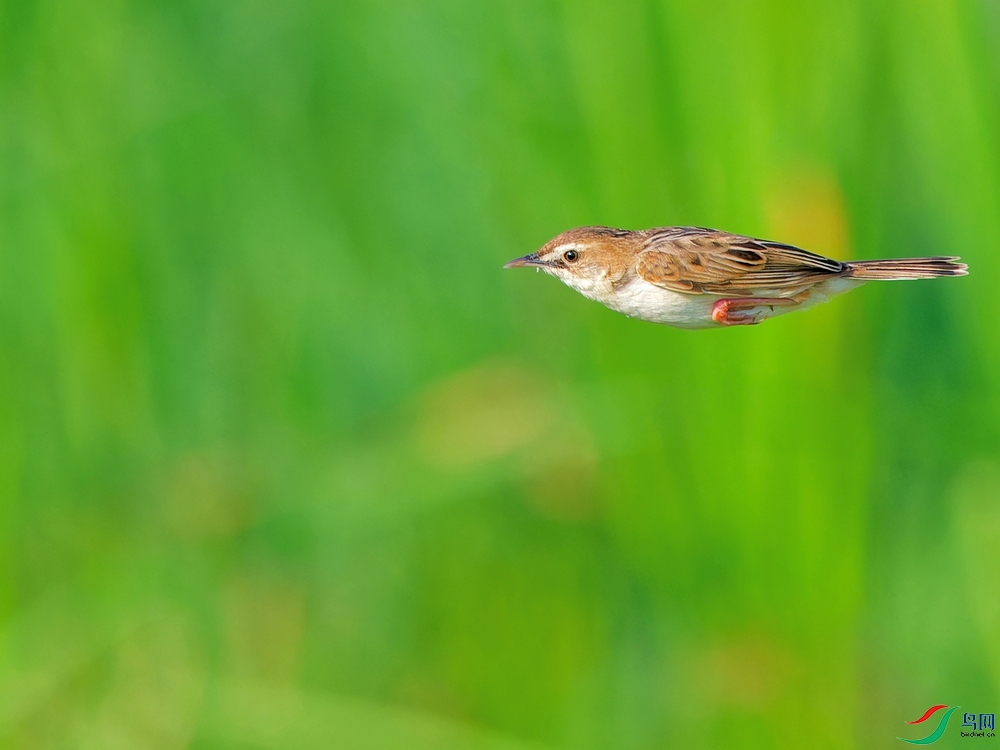 P6111593_DxO - ����.jpg