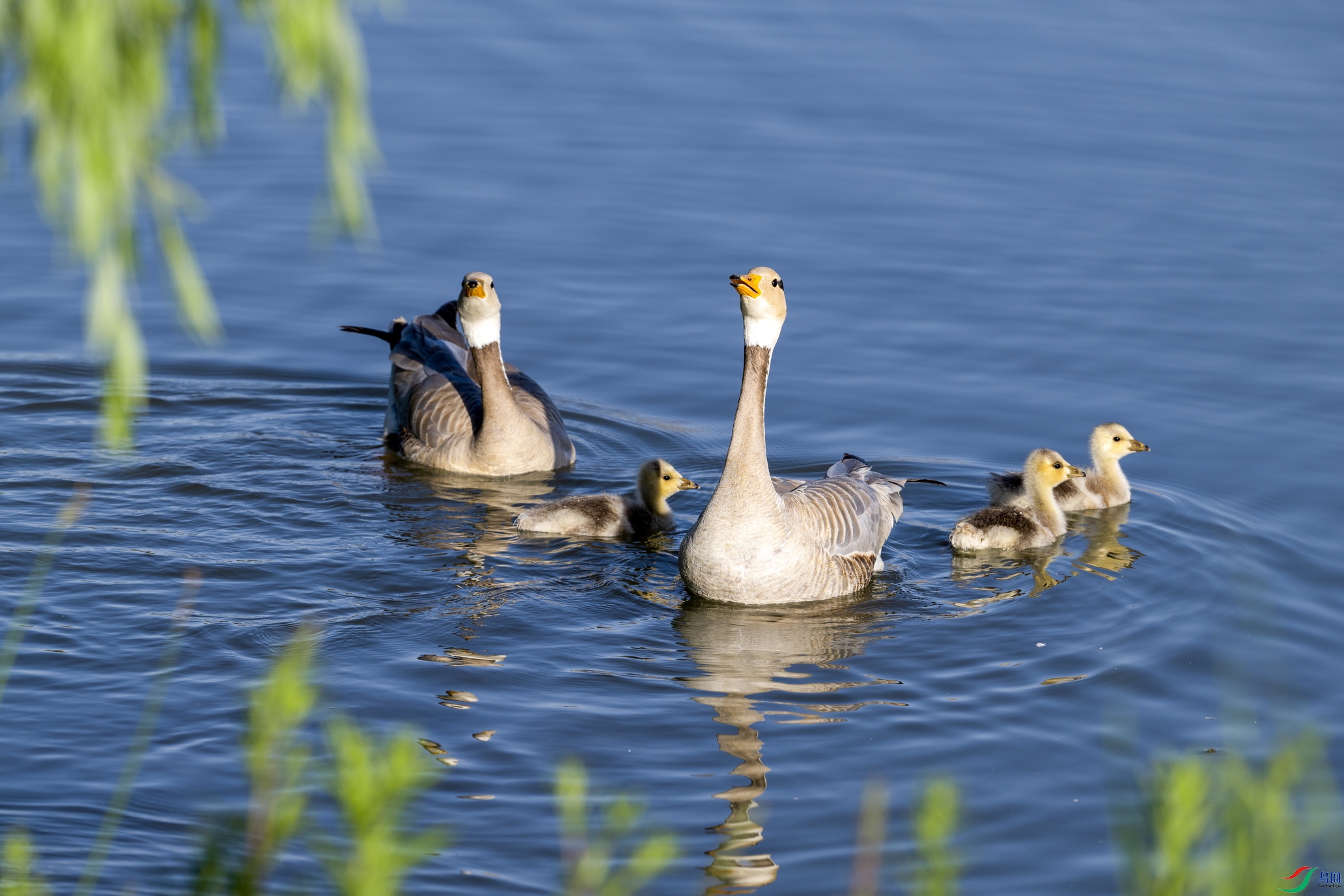 �Ҹ�һ�� (1).jpg