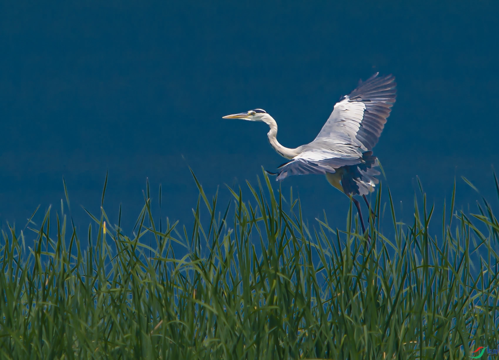 DSC_2660 -����-չ�����.jpg