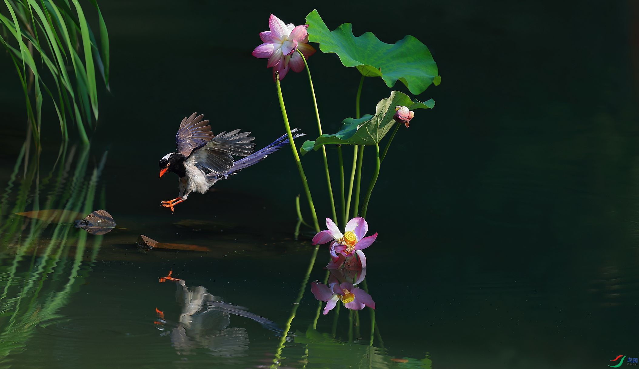 B43I9785-SharpenAI-Motion.jpg