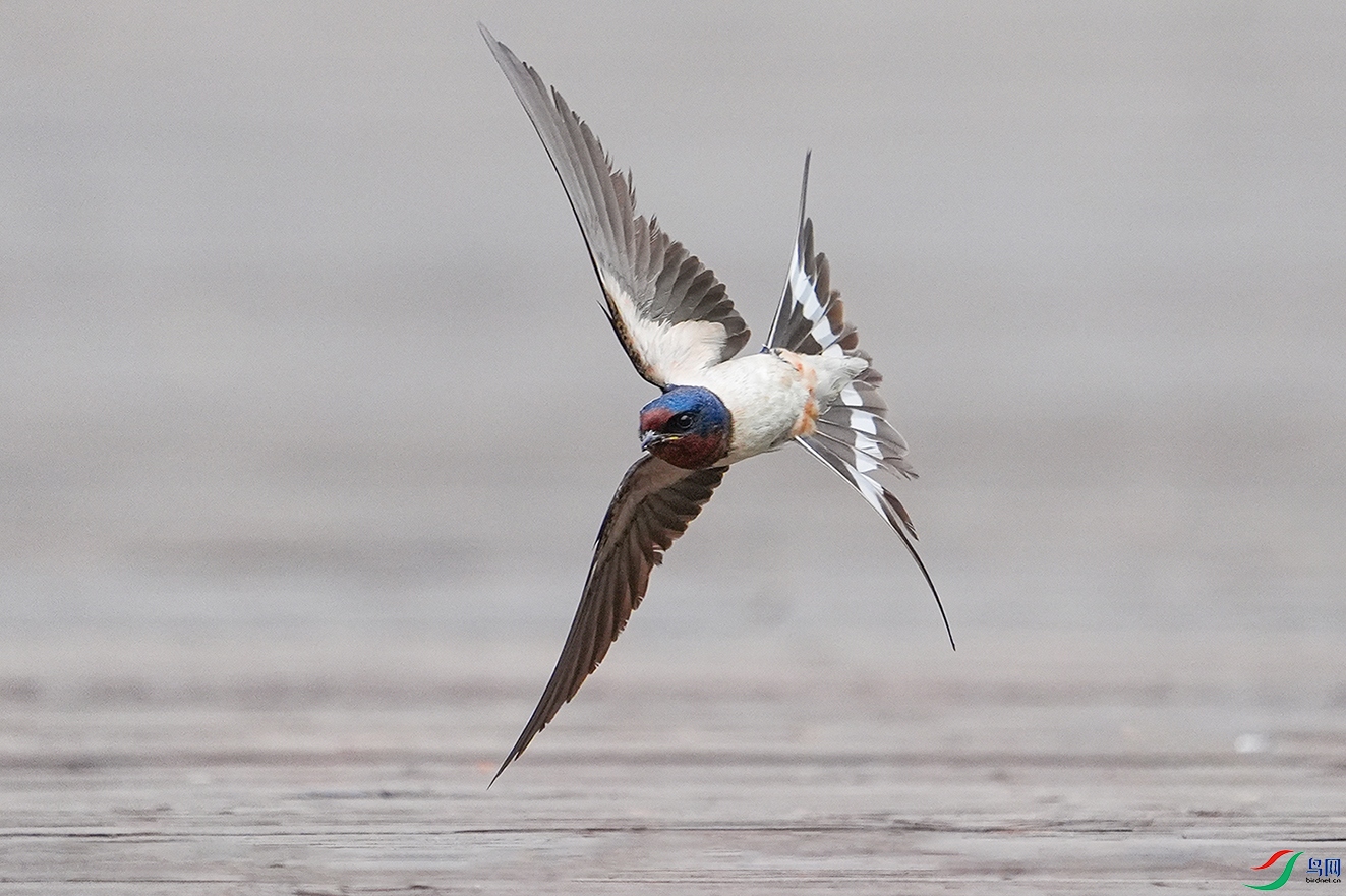 DSC03052 ����.jpg