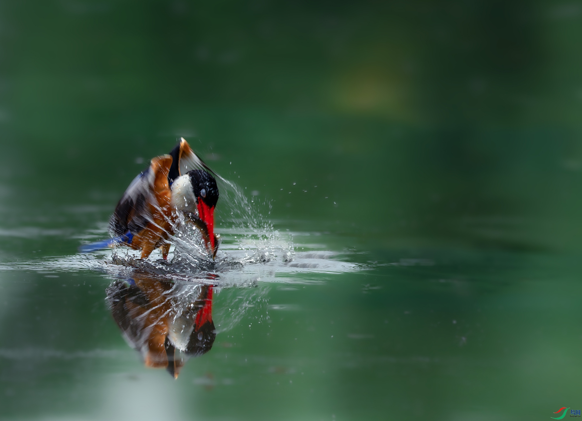 _DSC7726-����ǿ-NR ����.jpg